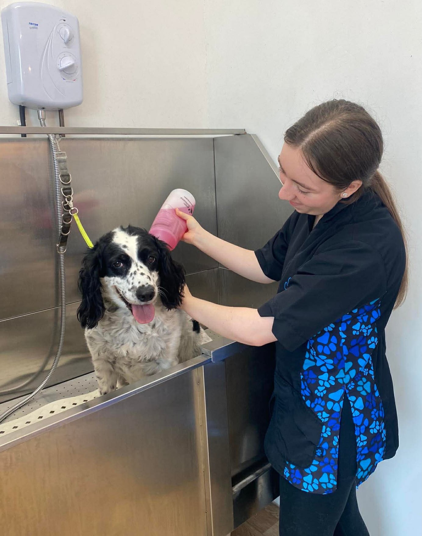 Our adorable VIP stars, Noah and Skye the Springers 👑🌟 ft our lovely Isabelle.
So grateful for this girly! Isabelle started at Royals as work experience student and now works alongside us, trained as our assistant in bathing, blow drying, keeping our salon lovely and clean and caring for your doggo’s. The attention to detail is always above and beyond. 🫶🏼
✂️ Groomer credit: the fabulous Sinead