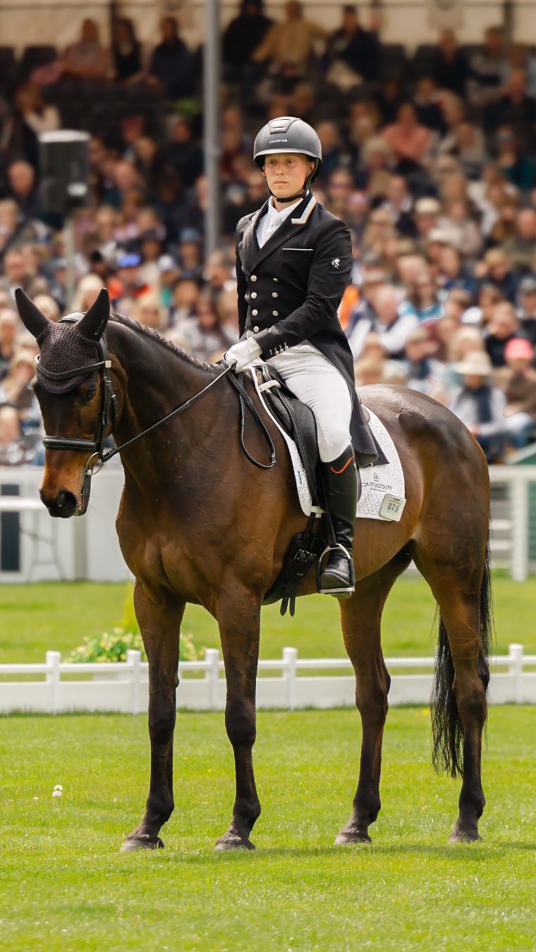 But why Wolf London? @tom_bird_eventing_ gives us his answer. 🐺🎤
@ride_every_stride_ caught up with Tom at the prestigious @bhorsetrials today to chat all things style, performance, and why he chooses Wolf both in and out of the saddle.
Best of luck for the week, Tom - we’ll be cheering you and 'Jasper' on every step of the way! 🤞
#WolfEquestrian #JoinThePack #BadmintonHorseTrials #EventingLife #BritishDesign EquestrianStyle