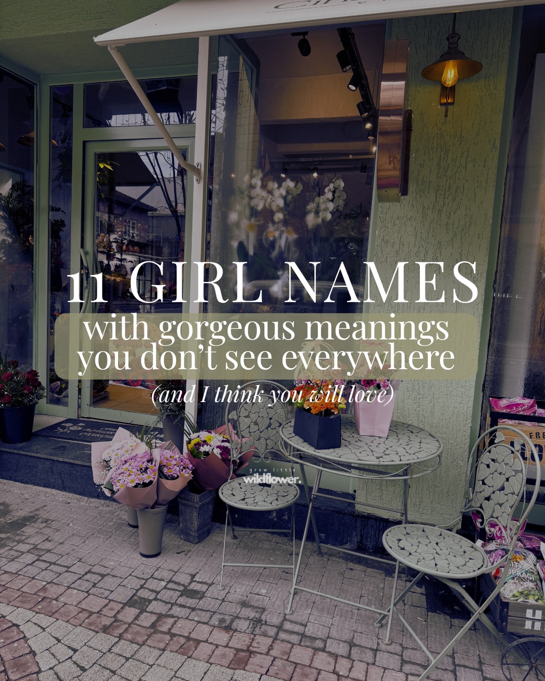 I think you will love these names! 💕
11 girl names with gorgeous meanings that aren’t everywhere…perhaps you have heard them before but you haven’t seen them 100x over! Hopefully this collection creates a little magic in your heart for the names less seen but oh so beautiful 🥹
With a whole new collection of names coming out so soon (2025 name data) I am wanting to spotlight not just the most loved names but the names I think you would want to see in the hope you find your ONE 💫
>>> swipe to reveal 11 girl names I think you will love. The last one is so damn sweet and quite possibly my favourite in this collection with Minnie, Mins, Mimi, Etta, Nettie as nicknames!
I hope this collection inspires you 🥹💕🫶
#growlittlewildflower