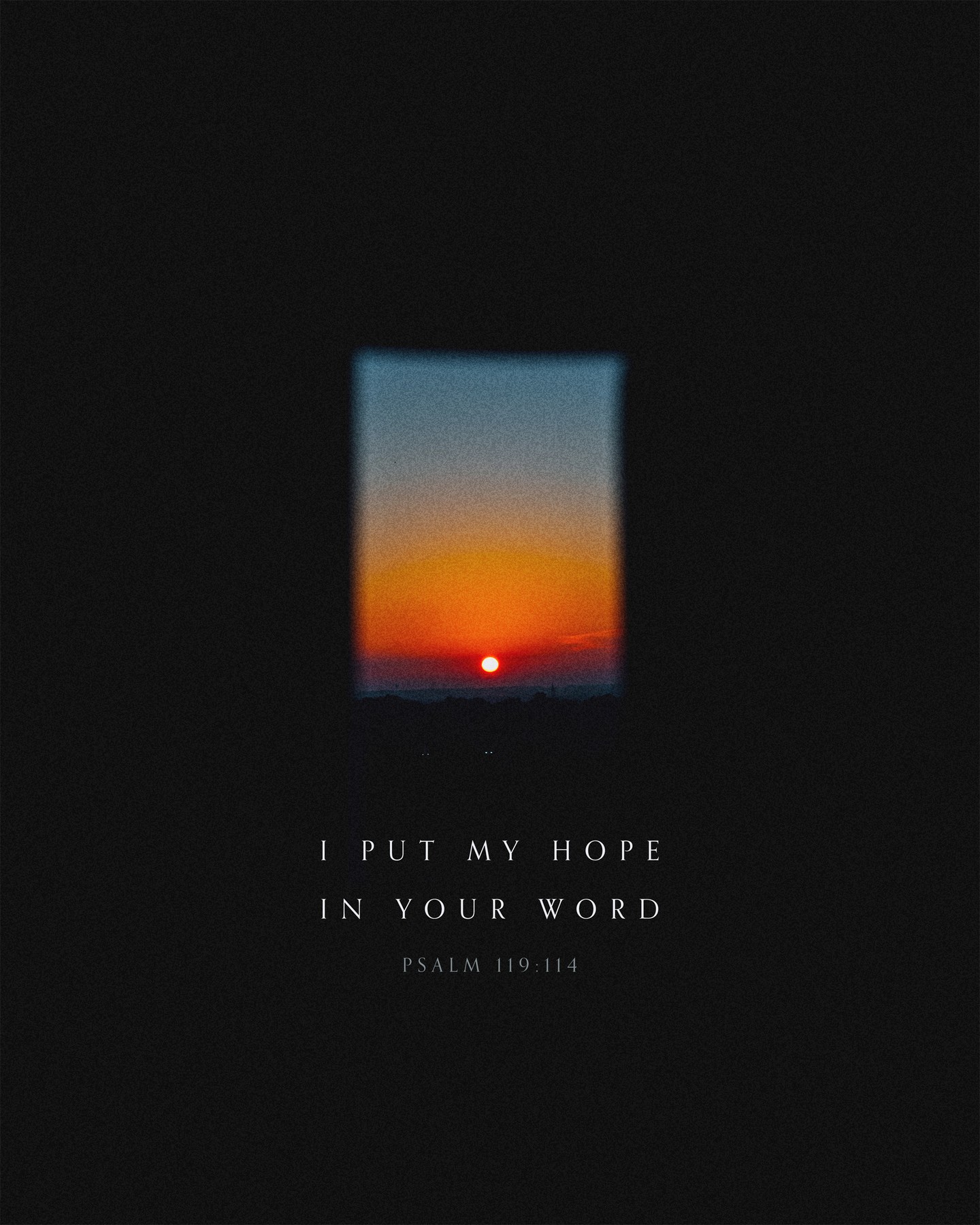 Our hope is anchored, steady, and alive in God's Word. Even when everything else shifts, His truth holds firm and never fails.
I put my hope in Your word. Psalm 119:114