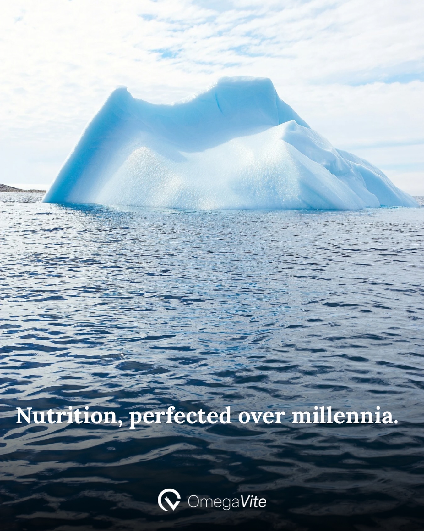 In the 1970s, Danish researchers Bang and Dyerberg travelled to Greenland to study Inuit dietary patterns and cardiovascular health.
Their work, alongside later studies, became foundational to the modern science of Omega-3s.
What that early research pointed toward — and what the supplement industry has largely set aside — is that it wasn’t only EPA and DHA driving the observed effects. It was the full marine-mammal lipid profile, including DPA, that distinguished the data.
For thousands of years, Arctic Indigenous communities relied on wild seal as a primary source of nutrition.
The clinical evidence base for marine Omega-3 supplementation rests, in part, on what those communities long understood about the foods that sustained them.
Omegavite honours that foundation through a Canadian harvest regulated under CFIA humane-harvest protocols, and a finished product that delivers the complete mammalian Omega-3 profile — EPA, DHA, and DPA — without chemical concentration.
Some ingredients are engineered.
Some are rooted in nutritional traditions older than the supplement industry itself.
→ omegavite.com