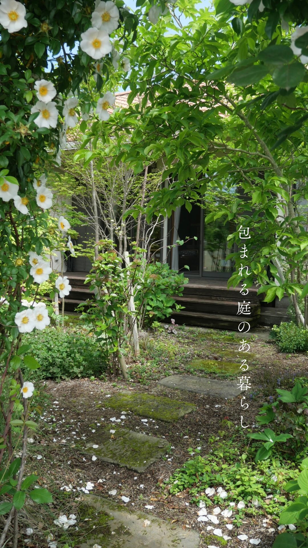 .
.
『 包まれる庭のある暮らし 』
施工から3年のお庭を訪問🌿
高木、低木、下草たちが大きく成長して
家と庭の空間全体を
包み込んでいるようでした。
白いバラのアーチをくぐって入った瞬間
一気に包まれる安心感🌿
ご夫婦とお会いする時の
包まれるような安心感と似ています^^
最初は、庭に一本だった
元気のなかったコブシの木が
他の樹木たちとつながり合い
すごく生き生き、喜んでいました!
ちょうど白いお花たちも咲いていて
すごく美しい春のお庭。
曖昧な境界にすることで
空間全体が一つに繋がる。
大きく成長した植物たちが
空間をさらに一つに繋げてくれて
調和した空間へ🌿
庭での暮らしを楽しまれて
丁寧にお手入れをしていただいて
いつもありがとうございます^^
愛いっぱいのお庭でした。
◽️人生が再生するお庭づくり◽️
🌿🐈🐕🌱
༶༶༶༶༶༶༶༶༶༶༶༶༶༶༶༶༶༶༶༶༶༶༶༶༶༶༶
株式会社shino-sora
本当に望む人生は満たされる。
大切な人や動物、植物たちと
深く繋がり合う調和した人生へ🌿
季節の移ろいや木漏れ日、風を感じる暮らし。
水と空気が循環する心地良い空間で
心身が癒され
人も動物も寛ぐお庭作りを。
__________________________
◽️詳しくはこちら
@shino_sora.garden
プロフィールリンクより
Gardenサイトをご覧ください。
_________________________
#庭のある暮らし
#ガーデンデザイン
#ナチュラルガーデン
#循環する庭