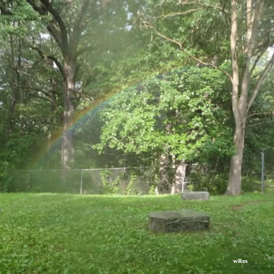 This rainbow popped up in Bachelors Grove Cemetery just after a big storm! This is the closest I have ever been to a real rainbow! I felt like I could reach out and touch it!!!
#cemeteryphotography #tombstontravels #bachelorsgrovecemetery #rainbow #cemeteryrainbow #cemeterylens #aftertherain