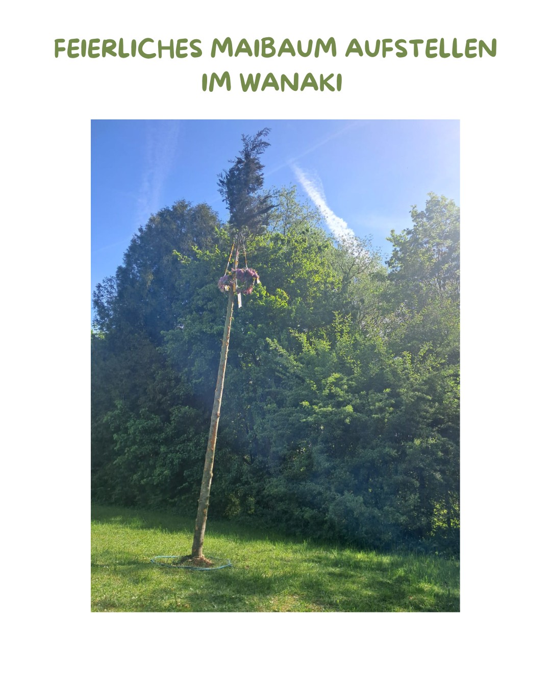 Eines der vielen jährlichen Highlights im WaNaKi ist das Maibaum-Aufstellen. Die Kinder bringen dafür von zu Hause Blumen mit und binden dann im Kindergarten gemeinsam einen Kranz. Wenn der Maibaum steht, wird gesungen und getanzt. Bereits in den Tagen davor wird die Tradition des Maibaum-Aufstellens erklärt. Schließlich wollen die Kinder die Bräuche im Kontext der Geschichte verstehen und feiern können. #waldpädagogik #kindergarteninooe #badhall #maibaum #kindermaibaum #traditionenleben