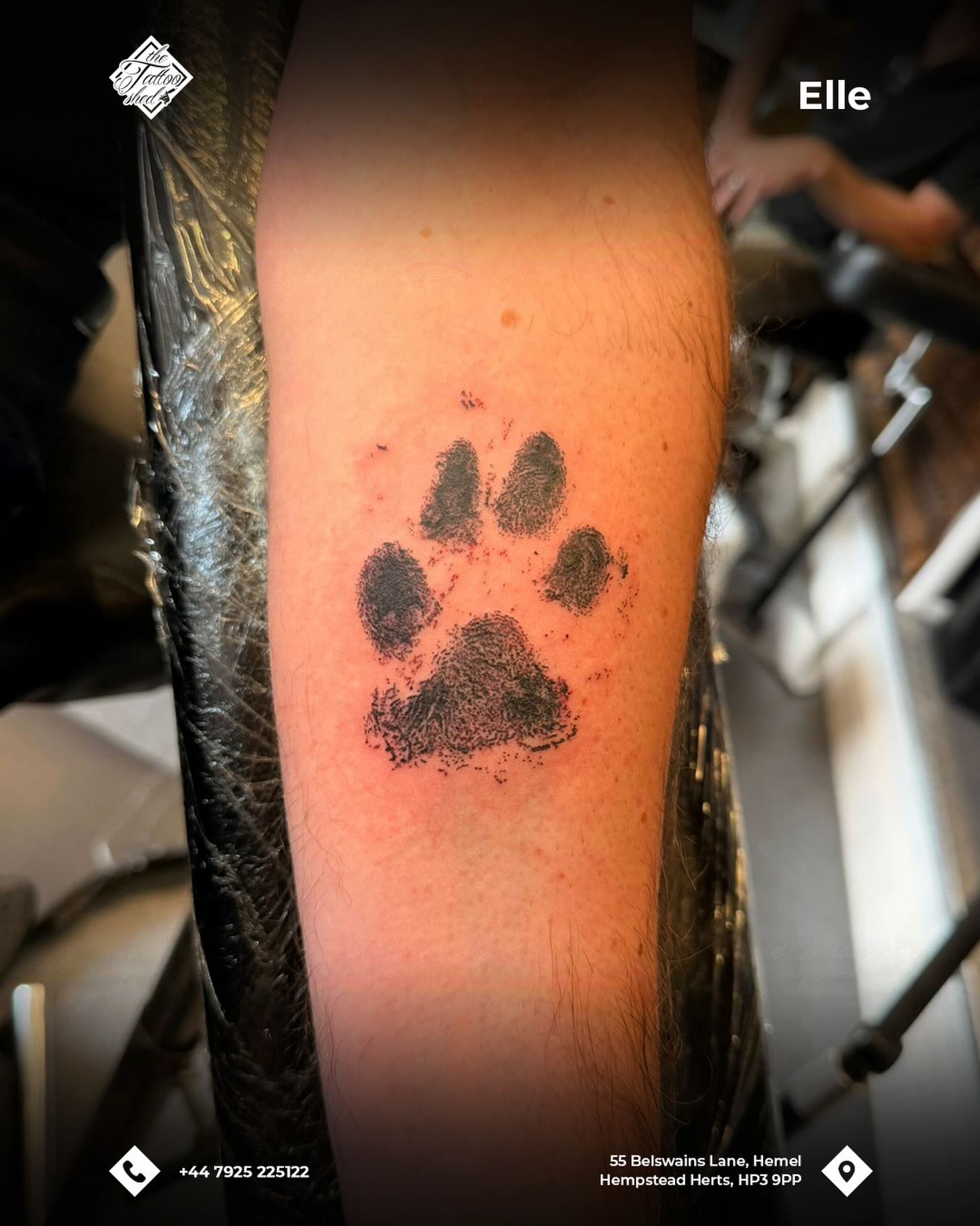 by Elle (@ellz.tattz)
π Contact us to book in today 07925225122
π 55 Belswains Lane, Hemel Hempstead, Hertfordshire, HP3 9PP
#TattooShed #TattooParlour #tattoosofinstagram #Hertfordshire #HemelHempstead tattoo tattoolifestyle tattoos
