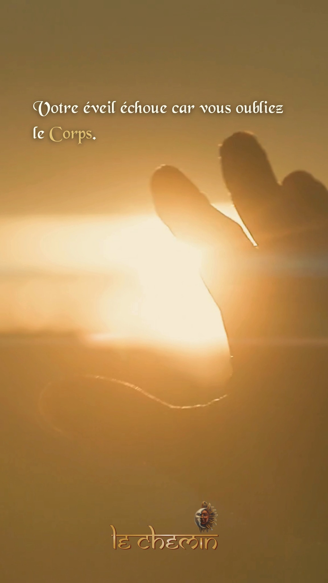 🔸L'Illusion du Mental ◼️
Ne fuyez plus votre terre. L'éveil est biologique ou il n'est pas. La transformation doit descendre dans vos cellules.
➡️ Identifiez vos blocages profonds avec notre accompagnement spirituel personnalisé.
#Corps #Matière #Janov #Eveil #Conscience #Trauma #Guerison #Alchimie #Vérité #Réalité