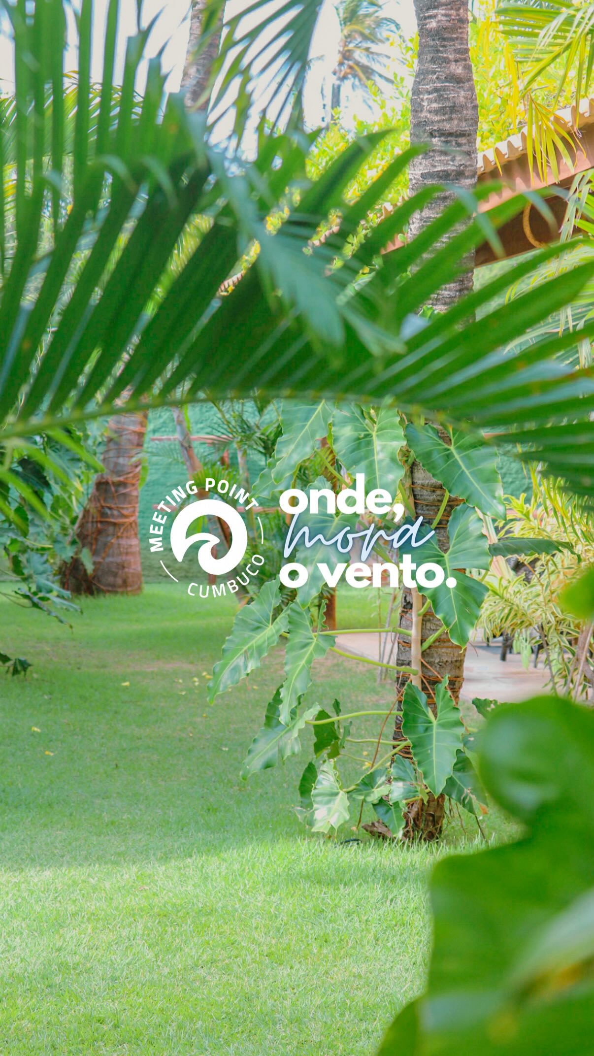 Onde mora o vento, nosso paraíso em Cumbuco! 🌊
Aqui você encontra o equilíbrio perfeito entre descanso e adrenalina:
✨ Café da manhã natural e delicioso todos os dias
✨ Piscina, jardim e áreas de convivência para relaxar
✨ Acomodação confortável cercada pela natureza
✨ Escola própria de Kitesurf e Wing Foil com instrutores certificados
✨ A poucos metros das melhores praias para velejar
💥 Venha viver essa experiência completa: aprender, velejar e relaxar no mesmo lugar.
📲 Reserve sua estadia pelo WhatsApp da bio e faça parte da nossa família Meeting Point!