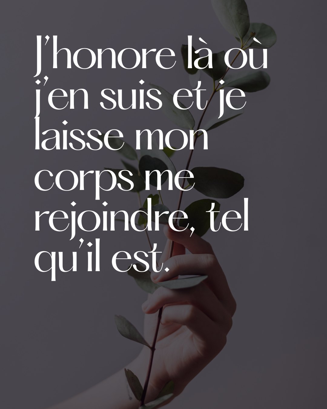 L’acceptation du moment présent ouvre un espace de douceur et de sécurité intérieure. 🤍
//
Honoring the present moment creates space for gentleness and inner safety. 🤍
#selfacceptance #bodytrust #healingjourney #mindbodyconnection #gentlewellness #innerbalance #montrealwellness #mtlselfcare