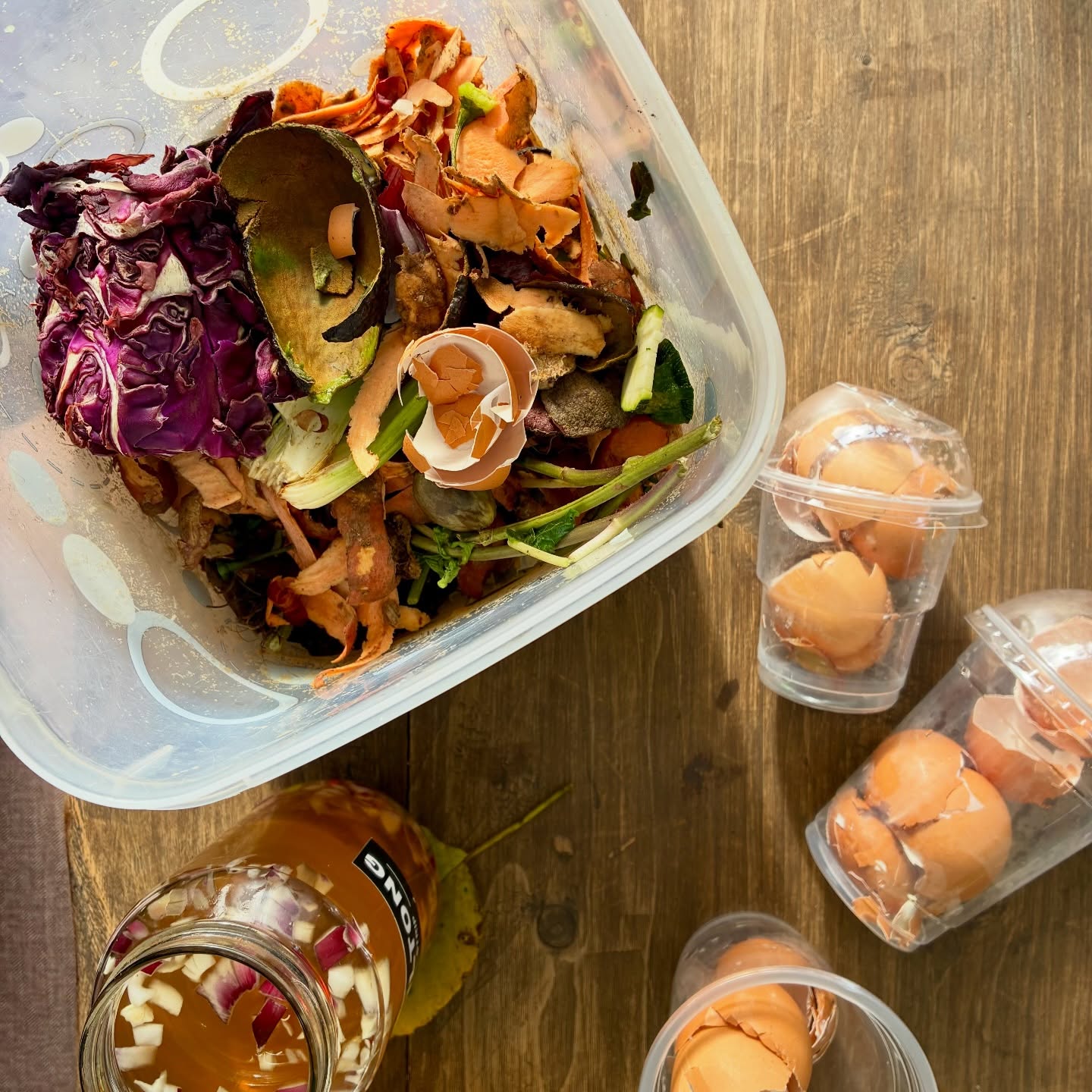 Composting starts with a simple habit, separating your kitchen scraps ♻️ Cannot emphasize this enough!!
What might seem like waste from veggie peels, fruit scraps, eggshells, even homemade plant-based pest control mixes, becomes the foundation for rich, living compost. This is from our own kitchen, heading into our compost and worm bins to be transformed back into soil.
It’s a small daily act that closes the loop, reducing waste while building something incredibly valuable for the garden.
We’ve even had the chance to share this practice with the Destiny’s School faculty, demonstrating just how easy and impactful it can be to start. Watch this space! 👀
From kitchen to soil, and back again! 🪴 🌾🐝☀️