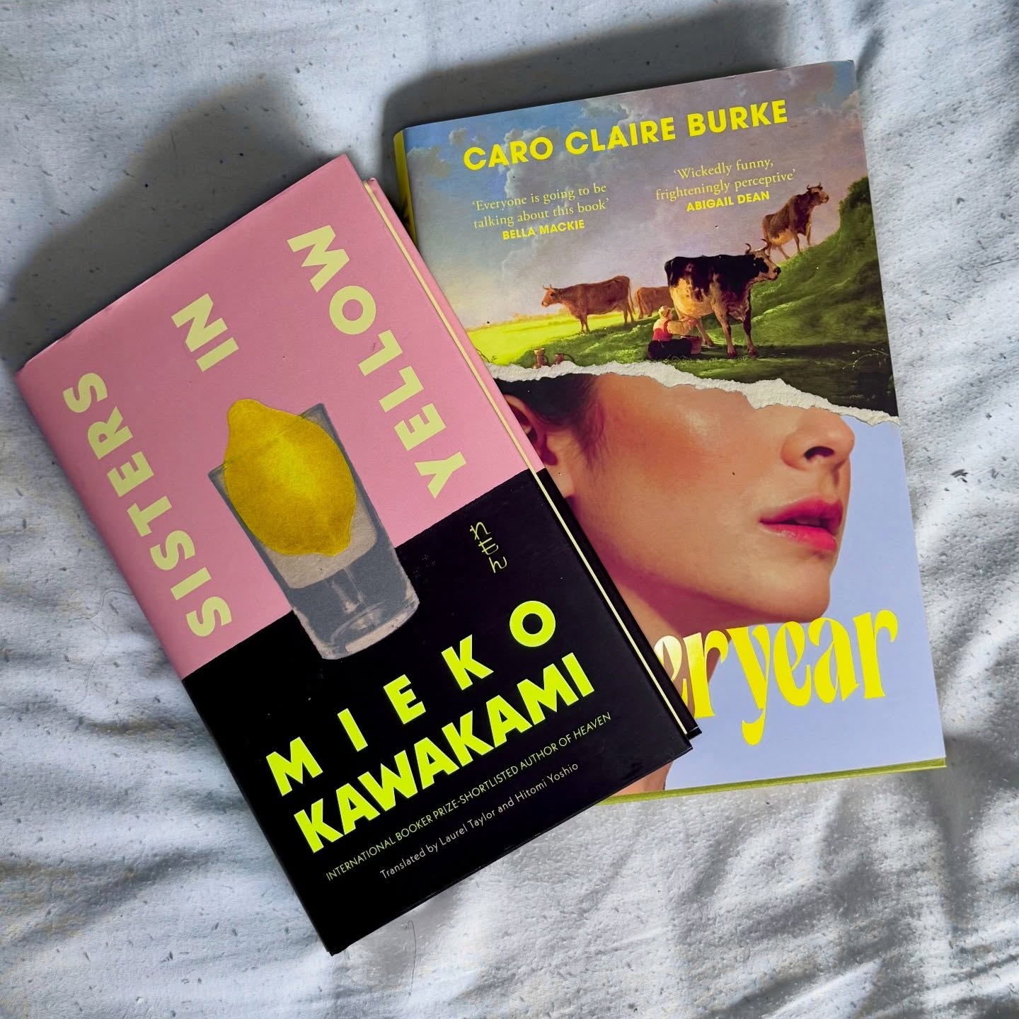 My recent book haul 📚
I couldn’t leave these behind! Have you bought any books recently? 💖
#yesteryear #sistersinyellow #meikokawakami #caroclaireburke #bookhaul