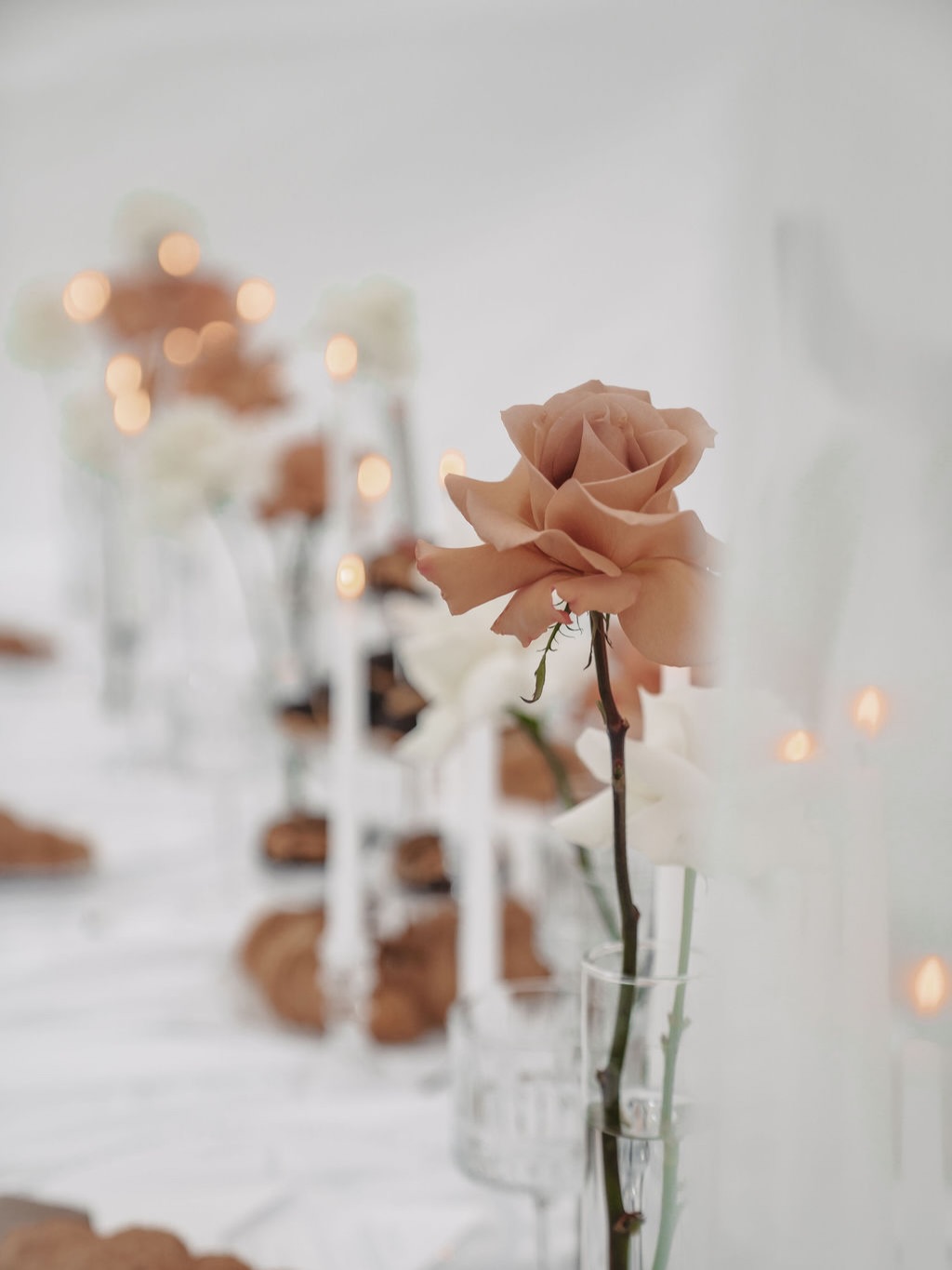 September Hochzeiten müssen nicht in klassischen Herbstfarben dekoriert werden. Hier gibt es so viele verschiedene Gestaltungsmöglichkeiten ✨
Und manchmal ist alles, was es braucht, Glas, Kerzenschein und simple Details.
White Glam kombiniert mit Toffee und silbernen Details schafft einen Look, der modern, elegant und trotzdem warm wirkt.
Die Wirkung entsteht dank der reduzierten Floristik und den Fokus auf Atmosphäre und Licht.
Für Paare, die ein cleanes Design lieben, sich aber trotzdem einen Tupfer Farbe wünschen.
Last September Dates 2026 are open now.
Slide 1-3:
EDITORIAL X WISCHHAFEN
by @rebeccawriedenphotography
Foto: @eileencamin.fotografie
Traurede: @alanasweddings
Styling: @jaroslawab_stylist
Kleider: @modeatelierfuchs
Models: @cjweddingedit
@jess.huntr & cjtvofficial
@verenamariee
@nele.michaelis
Floristik: @ivyandrose_de
Papeterie: @slowdown_art
Gesang: @evalicious0707
Feuerwerk: @roederfeuerwerk
Slide 5&6:
@keaulrich.fotografie
Hochzeitsfloristik
Hochzeitsdeko
Dekoverleih