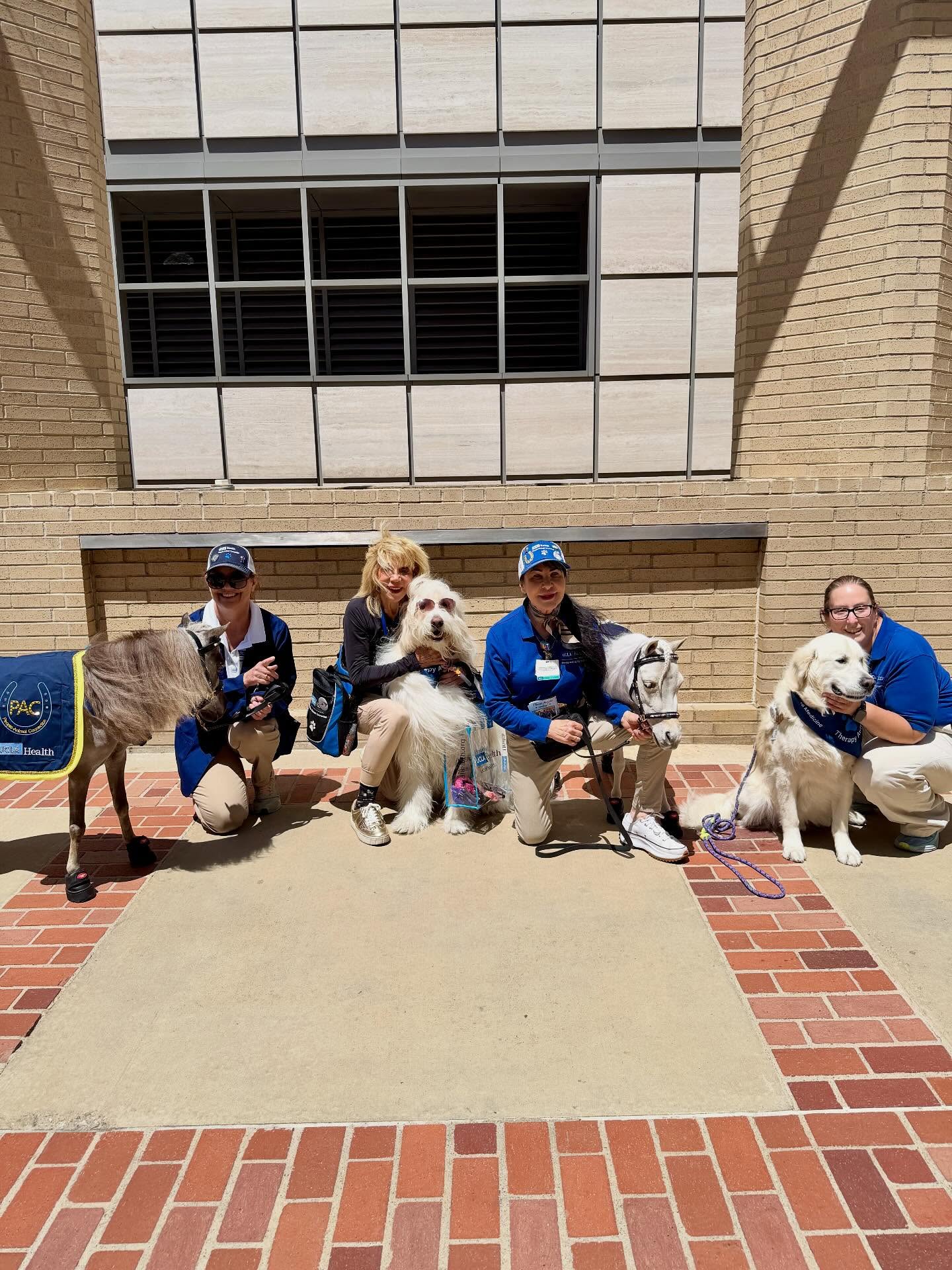 UCLA Ronald Reagan Medical Center snaps❤️🦄🐶👏🏼🥰