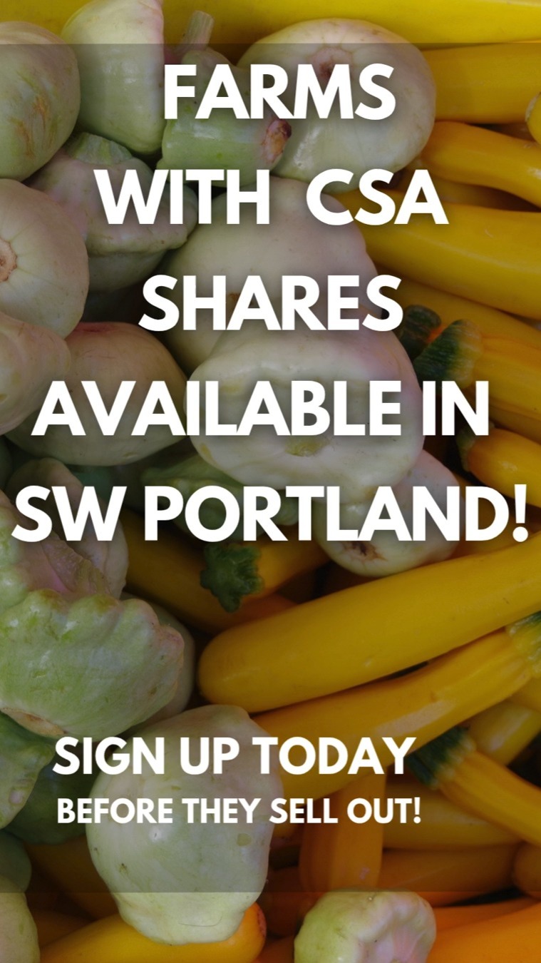 Still looking for a CSA in SW Portland? These farms still have shares.
If joining a CSA has been on your mind, there’s still time to get in before the season really gets going.
These farms all offer vegetable shares with pickup options in SW Portland:
@workingtheoryfarm
@wildgeesefarm
@campo.collective
@fullfarmcsa
@happinessfamilyfarm
@sillygoosefarmspdx
Some farms also offer add-ons like eggs, flowers, fruit, meat, or bread, depending on the share.
👉 Find your farm + sign up: link in bio
#swportland #portlandcsa #eatlocalpdx #pnwcsa #supportlocalfarms #communitysupportedagriculture #eatseasonal #knowyourfarmer #portlandfood