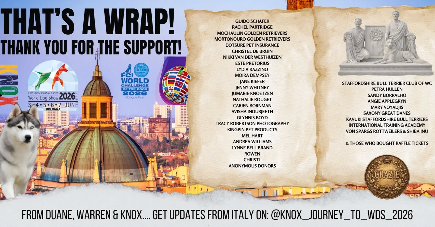 Thank you to everyone that supported us.
Next stop ✈️🇮🇹
#wds2026🇮🇹 #worldchallengeoftopdogs2026 #teamKnox