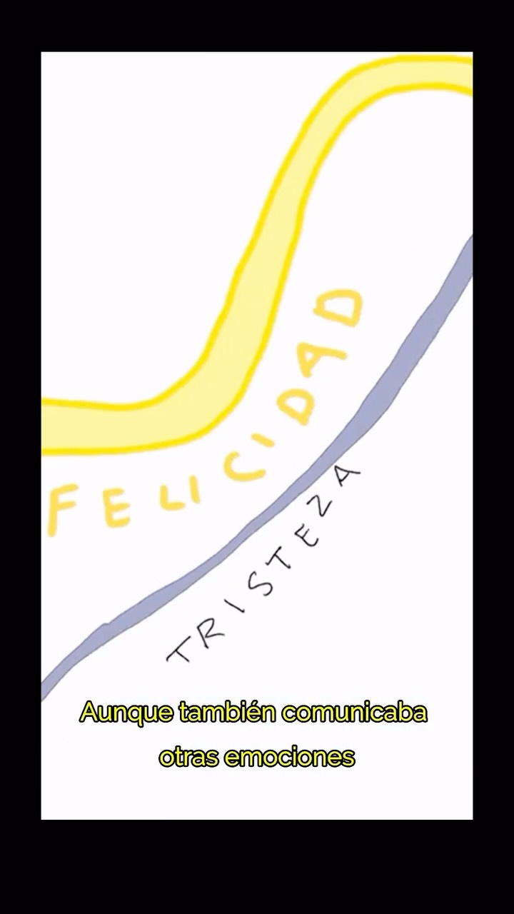 Si las definiciones cursis de la FELICIDAD ya no te dicen nada, estás en el lugar correcto :)
En este video te invito a ver la palabra FELICIDAD con otros ojos; saliéndonos de las definiciones clichés y resignificándola según mejor nos convenga.
¡Espero que te guste!
🖤
Valeria
👉Te recomiendo leer el capítulo 6 completo en mi libro El Ombligo de Eva: un diccionario personal, 🔗link en mi bio.
•
Equipo 🚀
Animación: @cazurroart
Voz: @estoespoderdecir
Dirección e idea original:
@valeriavalencia.words
•
#librorecomendado #palabrasconluz #hablarnosbonito #elpoderdelaspalabras #elombligodeeva