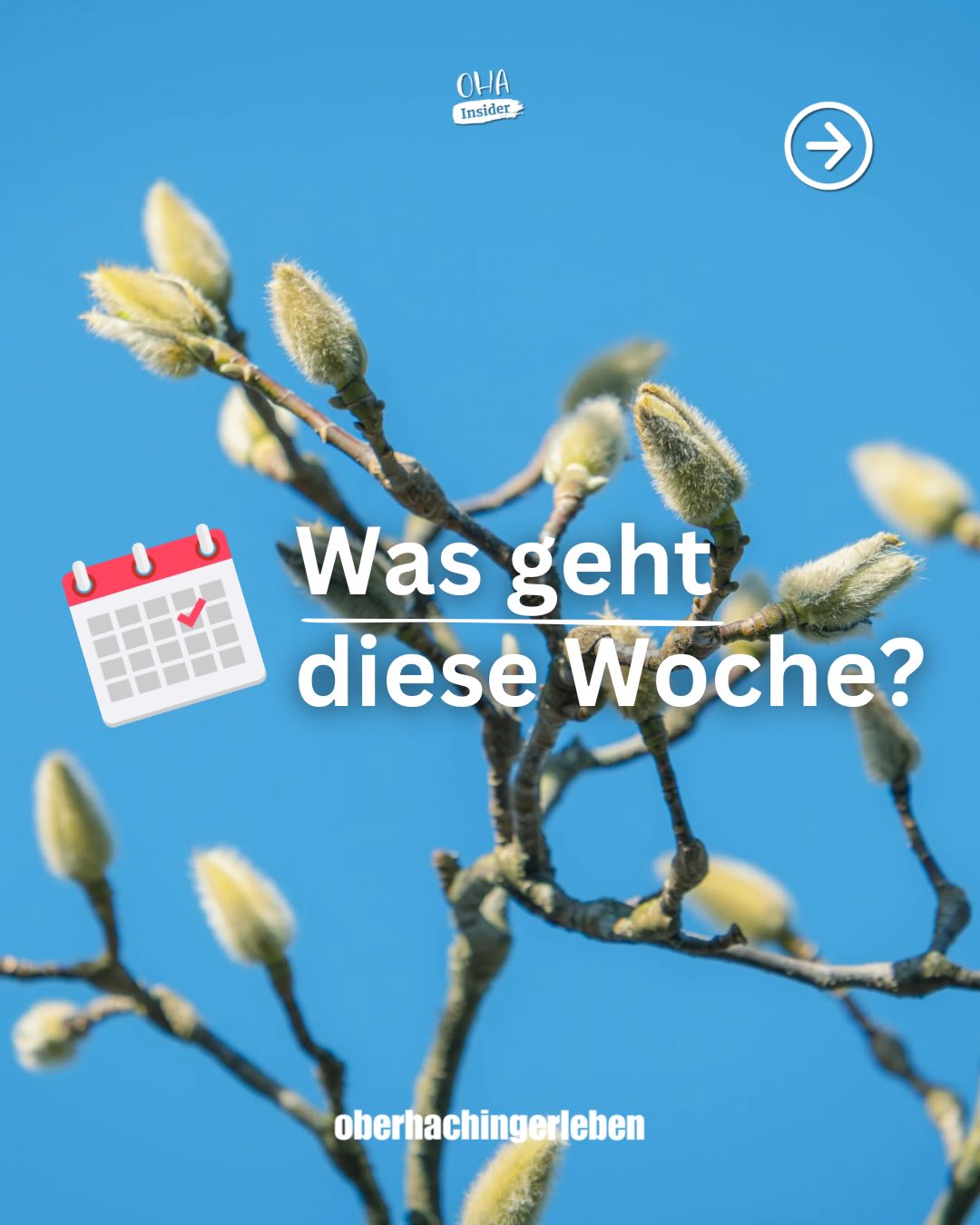 Neue Woche, neue Events ✨
Wir starten mit vielen coolen Veranstaltungen in die Woche! 🎉
Seid ihr bei dem einen oder anderen Event dabei? 👀
#wochenkalender #wasgeht #veranstaltungen #gewerbeverbandoberhaching #ohainsider