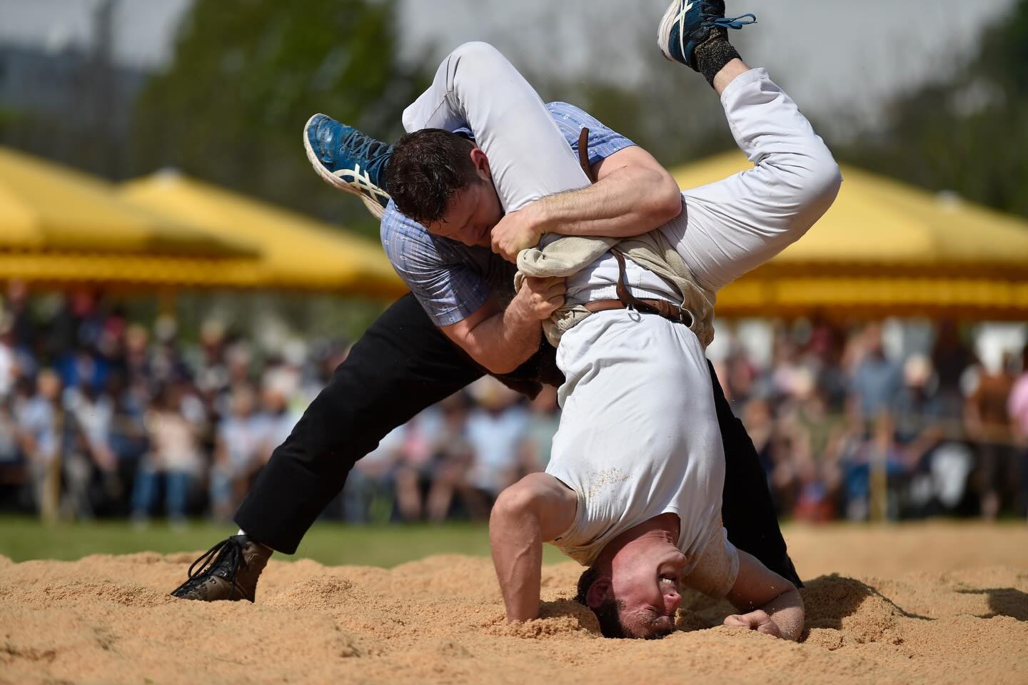 Zwei Kränze zum Auftakt!
Armon Orlik auf Rang 2 und sein Unterlandquarter Klubkollege Niklas Lötscher auf Rang 5 gewinnen heute beim Thurgauer Kantonalfest in Sirnach die ersten zwei Bündner Auszeichnungen der Saison. Kyron Nay schrammt leider trotz vier Siegen um einen Viertelpunkt an seinem ersten Kranzgewinn vorbei.
7’350 Zuschauer (!) sehen ein von Überraschungen geprägtes erstes Kantonalfest, das mit dem Toggenburger Damian Ott einen verdienten Sieger findet. Herzliche Gratulation! Bericht und Rangliste auf hosalupf-Website.
📸: Lorenz Reifler, Jakob Heer (1,5)
#Schwingen #Tradition #Graubünden #Thurgau #Sirnach
@gkb.ch @repowerschweiz @cofox_ag