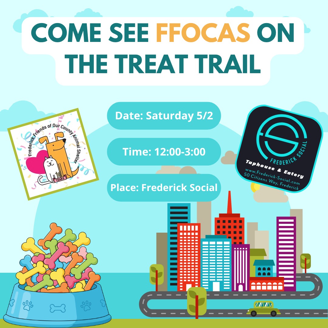 We are so thankful to @frederick.social and @dogfriendlyfrederick for The Treat Trail this Saturday in Downtown Frederick! You and your pup can visit the FFOCAS table from 12:00-3:00 at Frederick Social! See you then!
#treattrail #downtownfrederickmd #frederickmd #mydogdigsdowntown #frederickevents #doglovers #dogpeople #dogs #frederickdogs #shelterdogs #doggos #dogfun #petsarefamily