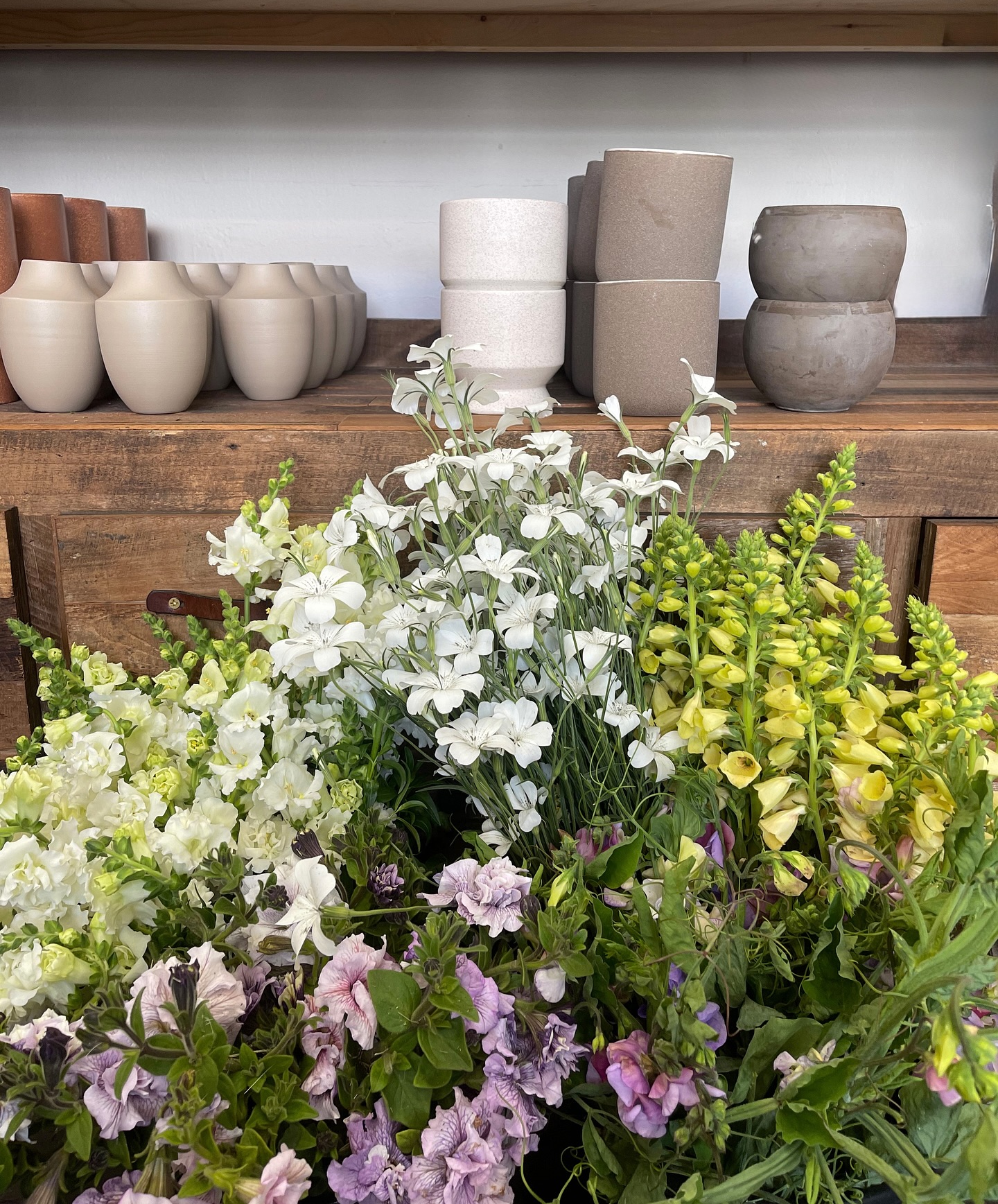 The farms have been generous this week — and this is just a fraction of what’s coming through the studio. Peak season, exactly when we need it.
Mother’s Day pre-orders are open now, delivery and pick-up throughout San Francisco May 8–11. Order at le-bouquet.com — link in bio.