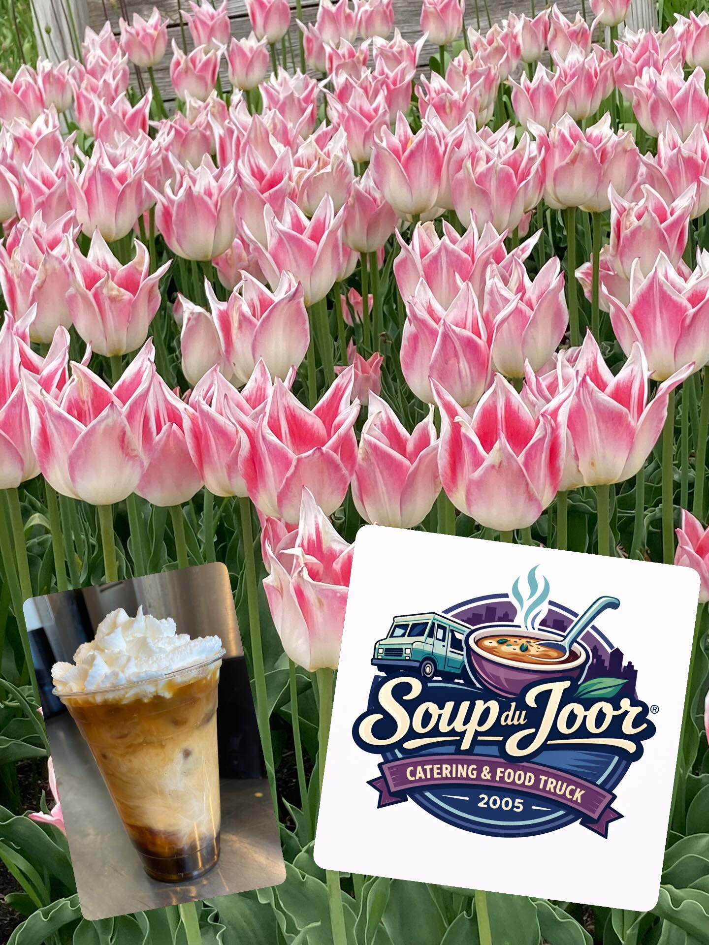 What pairs perfectly with food?? FLOWERS!! 💐🌸🌺🌻🌷Join us @twinorchardsnursery this Saturday, May 9th from 10-4! Soups, salads, wraps, quesadillas, coffee, lemonade & beverages! #spring #mothersday #flowers #food #weekend See you Saturday!! 🥰🫶🏼🌸🤗🌷