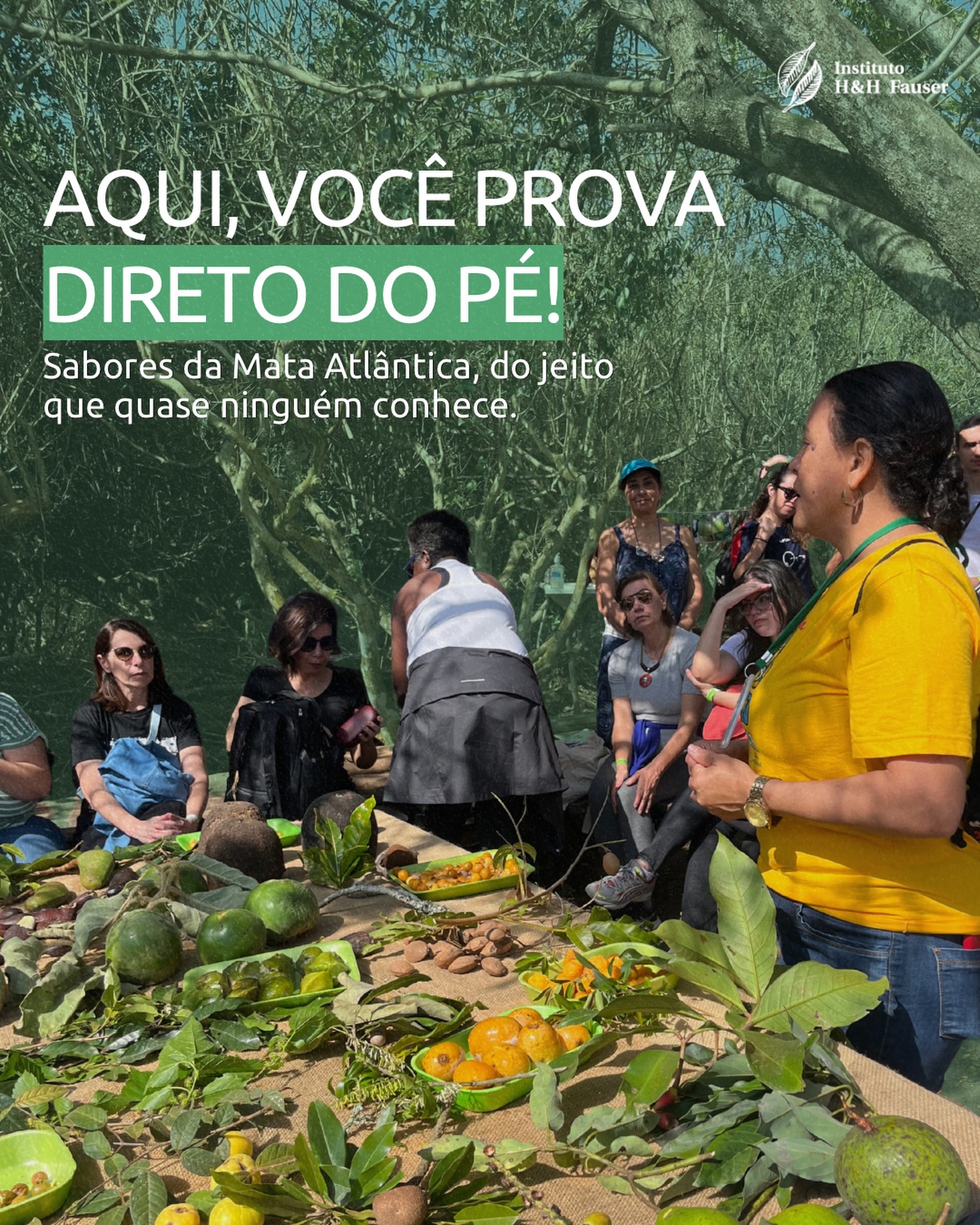 Nem todo mundo já teve a chance de provar uma fruta direto do pé, e isso muda completamente a forma como a gente se conecta com o alimento.
No @sitiodobelloparaibuna, essa experiência acontece em uma caminhada, conhecendo as árvores e descobrindo sabores que fazem parte da nossa terra, mas que muita gente nunca experimentou. 🍃
Esse momento é um convite para desacelerar, observar e viver a natureza de um jeito mais próximo.
Se você ainda não viveu isso, talvez esteja na hora. Confira a programação de visitas no feed e, para mais informações, nos envie uma DM. ✨
#ihhf #ong #paraibuna #mataatlantica #frutasnativas