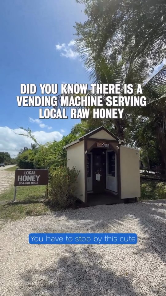 Hidden gem alert 🍯✨ Did you know you can pick up fresh, local honey from a vending machine in Greater Fort Lauderdale? Sweet, simple and a little unexpected, this roadside stop is giving “farm-to-jar” a whole new meaning.
Make your way to HealthierToGo Honey Vending Machine, where golden jars of locally harvested honey are ready whenever you are. It’s a self-serve experience that feels straight out of Old Florida, tucked into the peaceful, rural charm of Southwest Ranches.
Whether you’re stocking up for your morning tea, drizzling over fresh fruit or just curious to try something new, this spot is a sweet reminder that some of the best finds are off the beaten path.
Go ahead, take the scenic route… you never know what you’ll discover next in Greater Fort Lauderdale.
📍5010 SW 166th Ave, Southwest Ranches, FL 33331
#freshhoney #Choose954 #localhoney #southwestranches #rawhoney
Reposted from @visitlauderdale