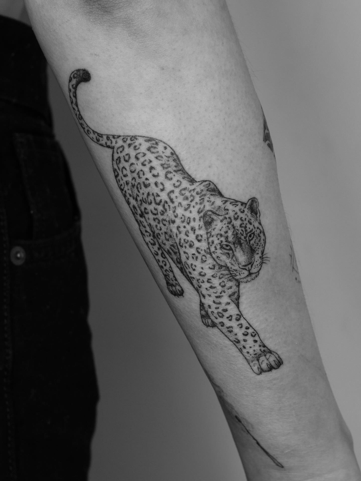 Continuing to fill the arm with small tattoos.✦ ݁˖
#tattoovilnius #vilniustattoo
#smalltattoo #fineline
