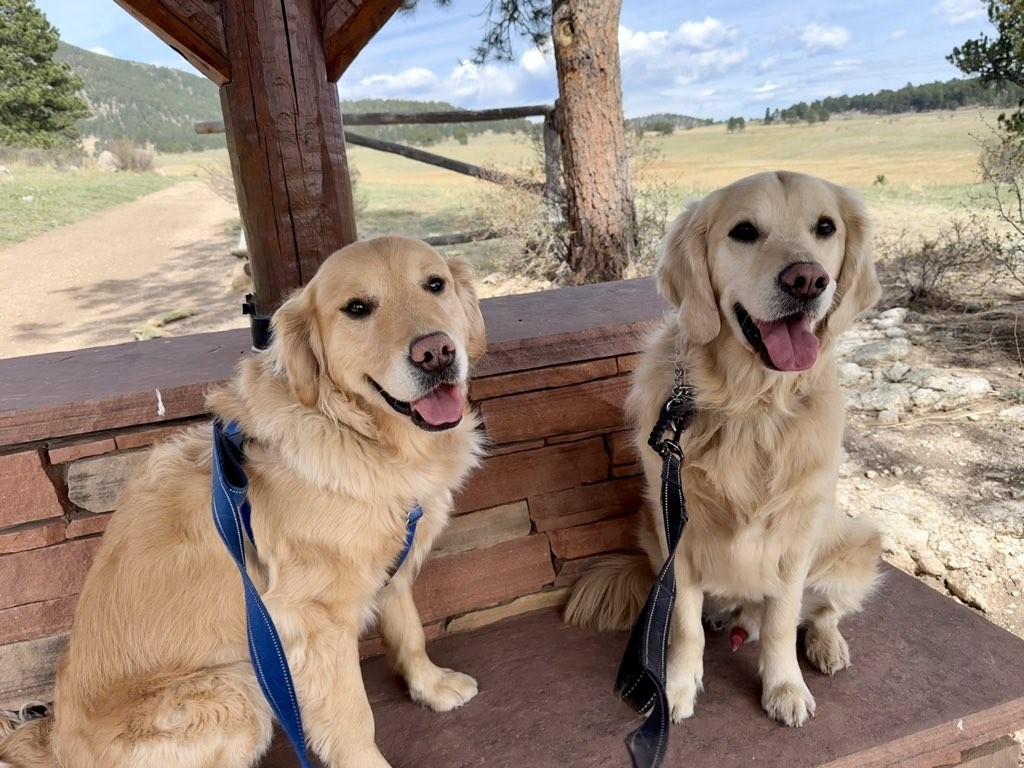 How about we rest and run again?
Buddy Deal! ๐พ๐