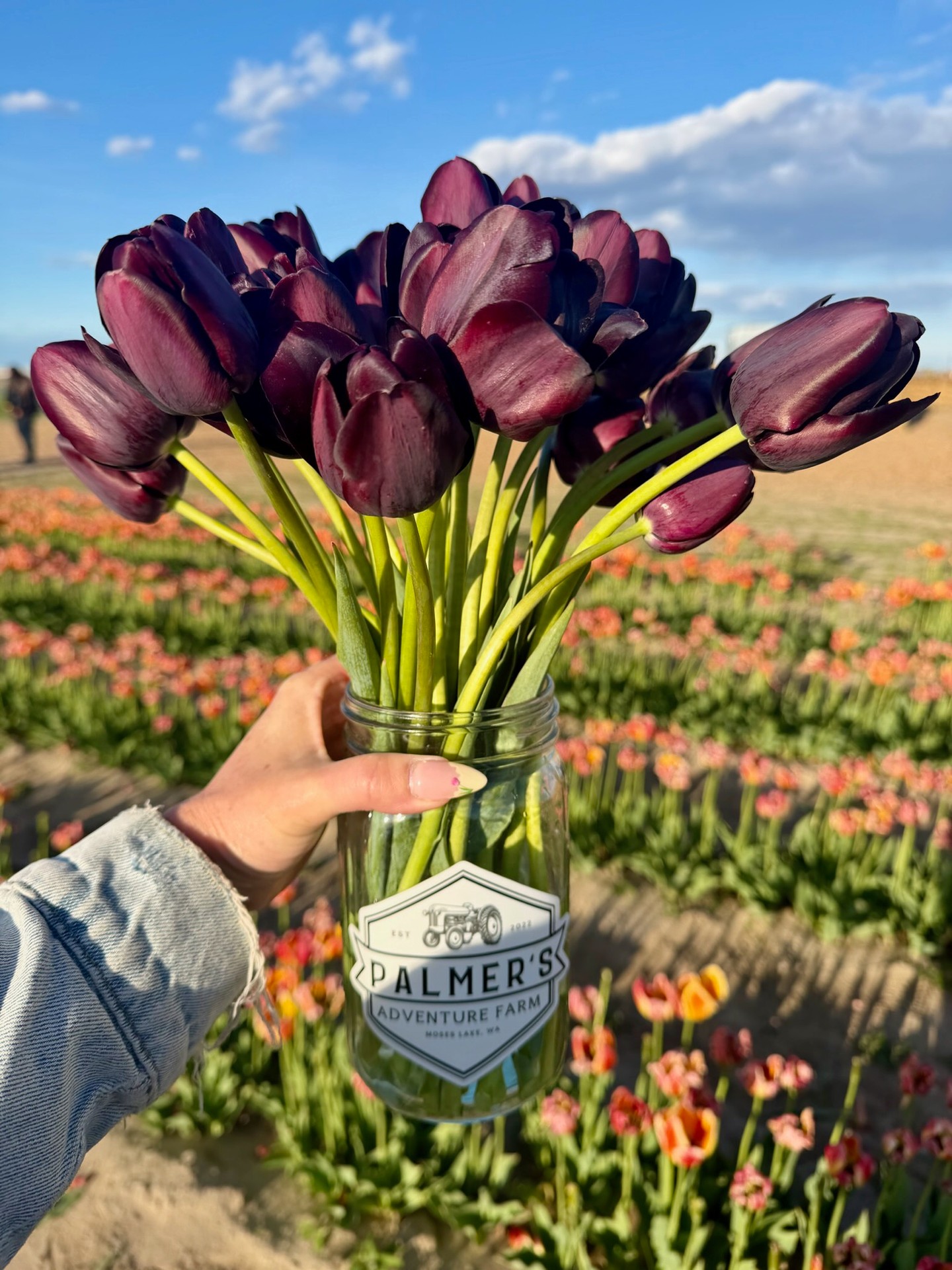 📍 Palmer's Adventure Farm in Moses Lake, WA
🌷 Final days this Friday - Sunday 🌷