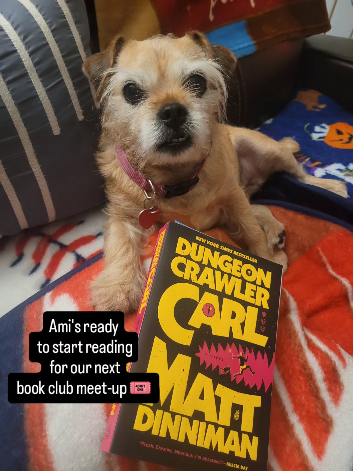 She's a book lover, this little girl of mine 🐶📚❤️🔥😎
Wait till she finds out it's a cat, not a pug, in this alien-invasion story 🤯
#readingtime
#bookclubpick
#horrorstories
#booksbooksbooks
#herekittykitty