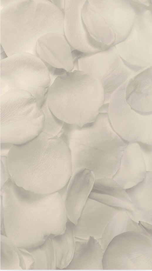 The Hadado Lymphatic Facial aka the Japanese Face Lift Massage has come to NYC.
Our specialists have perfected the technique of traditional Japanese Hadado methods often known as the “Japanese Face Lift” Massage”.
Unlike standard facial massages that use light pressure for relaxation, Hadado works deeper into the facial muscles and connective tissue to stimulate circulation, release tension, and create a firmer more lifted appearance.
Book our new lifting massage facial at lingspa.com #hadado #lymphaticmassage #facial #nyc #lingspa