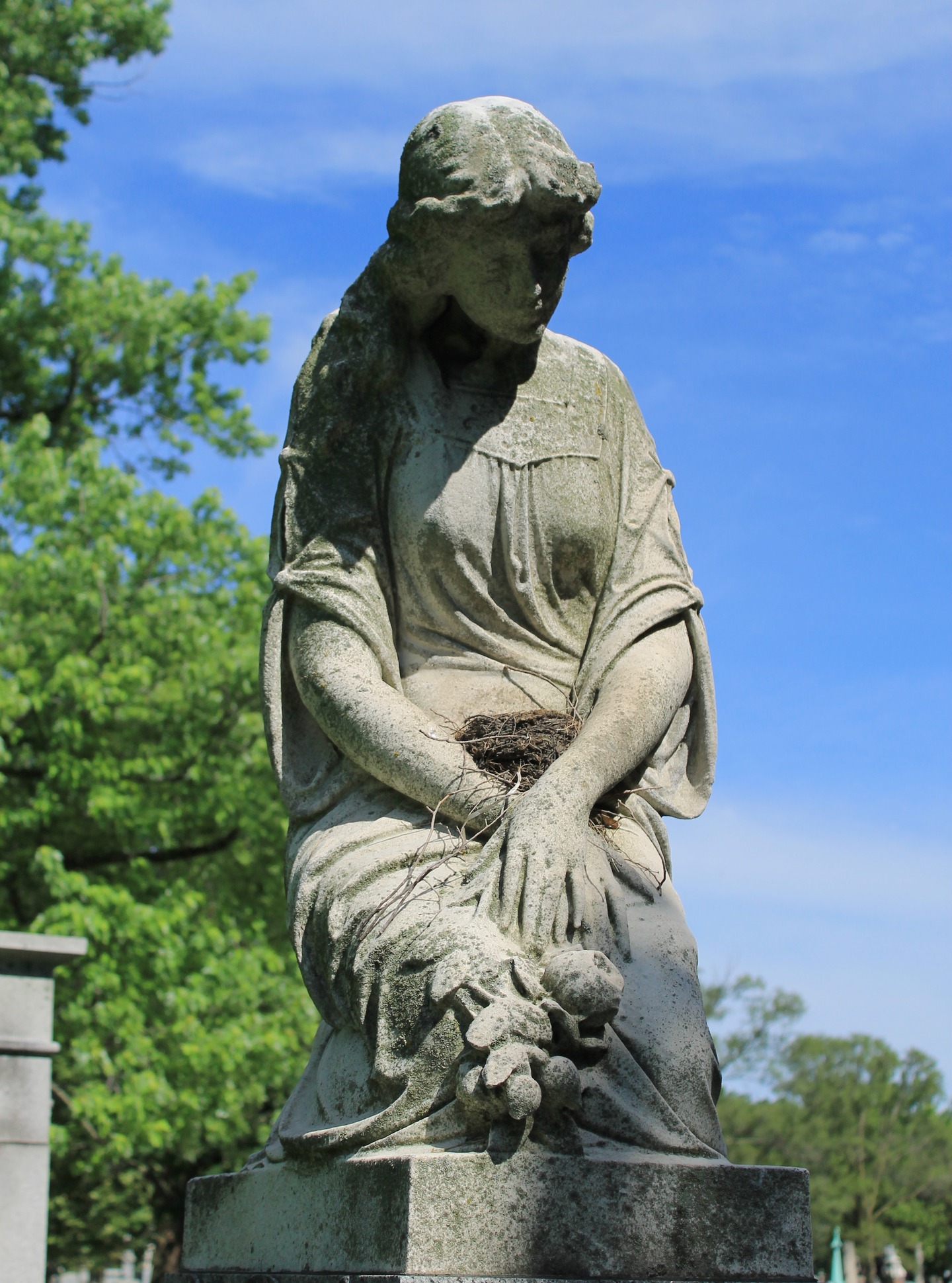 Springtime @bohemiannationalcemetery
#cemeteryphotography #tombstonetravels #taphophile #cemeteryanimals #springtime #robinsegg