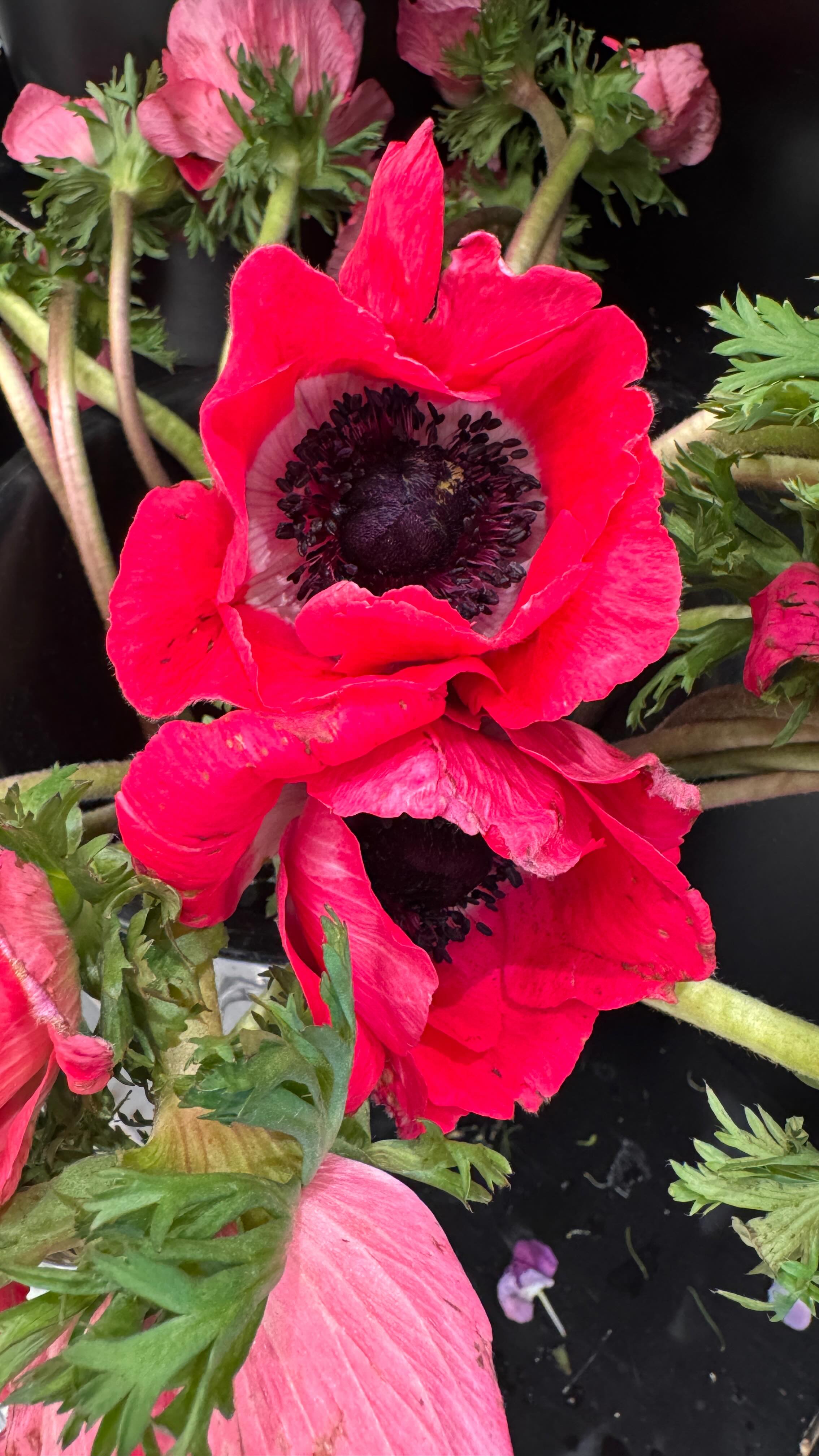 Flowers, check! 💐✔️💐 Whether you want to have a beautiful arrangement delivered, or you want to pick it up yourself, our florists have the most beautiful buds around! Stop in or call @mrsmorgansflowers or @lulevereflorist to get your orders in before Mother’s Day! Both are open daily through Saturday! 💐🌹🌸🌺🌷🌻🌼💐
#mothersday #flowers #giftsformom #bronxville #mom