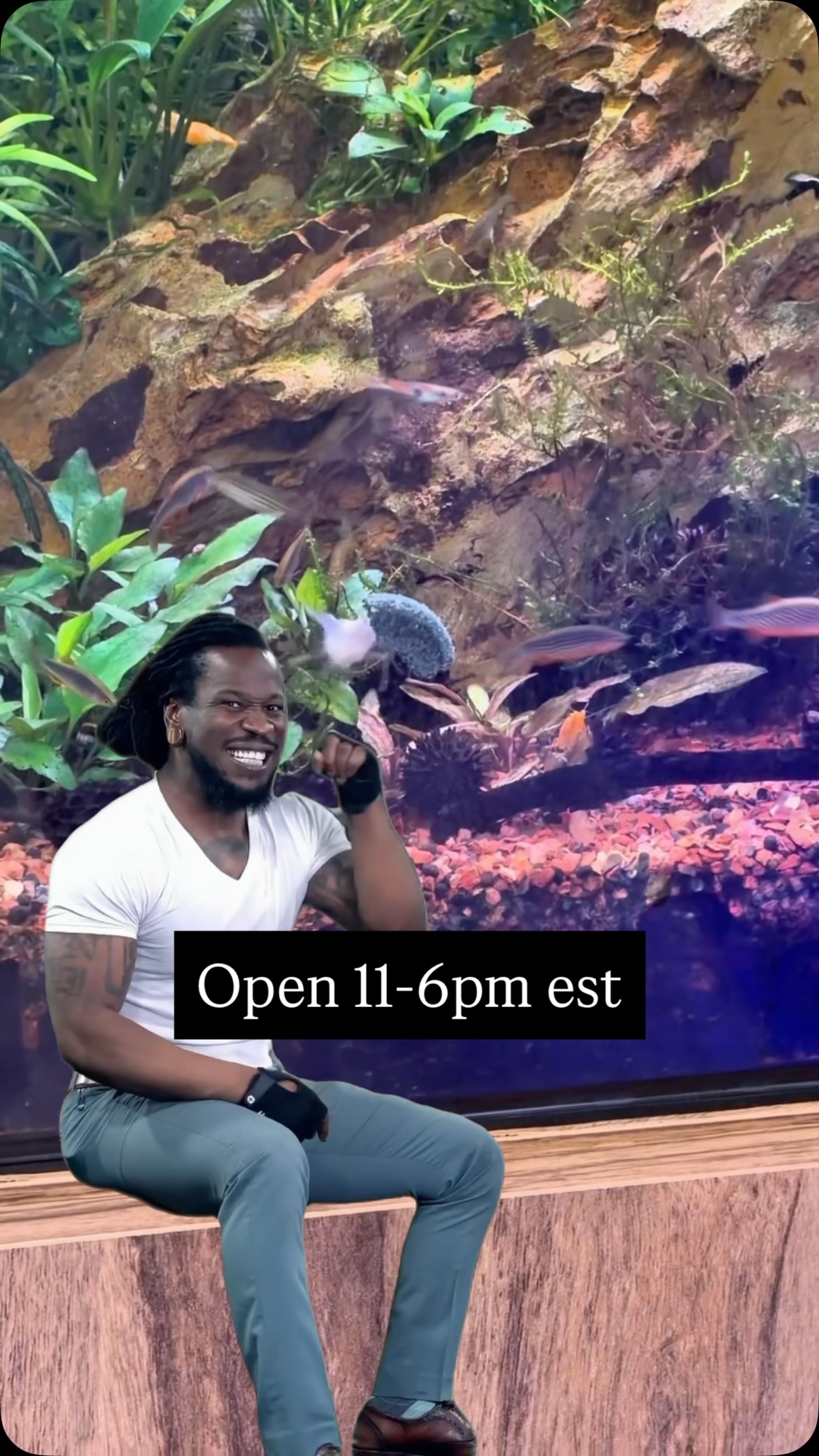 Come hang out, you know you love it here. 😏
Open today 11–6
Check out what we’ve got: undertheseanc.com/retail-store #reeftank #aquariumhobby #reefaquarium #fishtank #coral