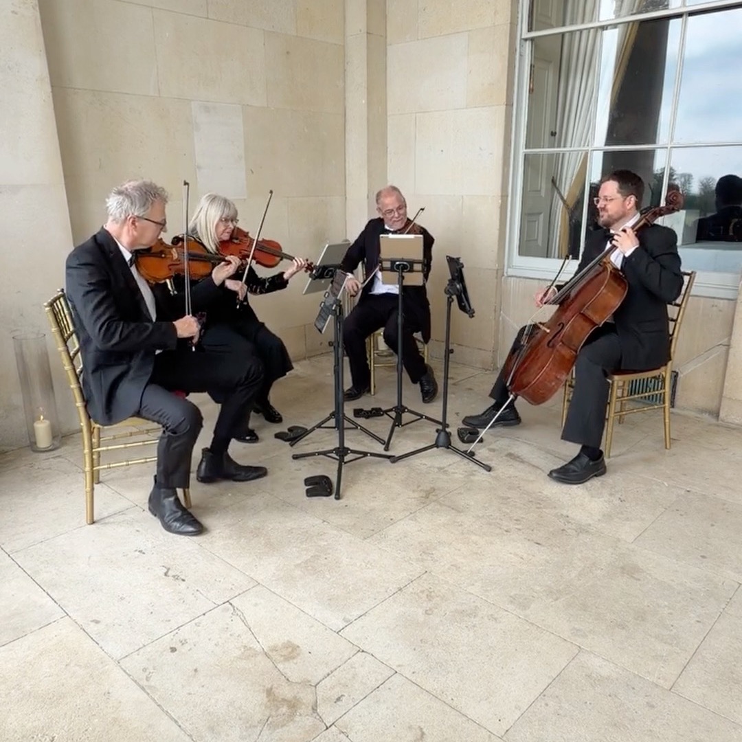 If you’re wondering what a typical wedding set looks like for a string quartet, this is more or less it.
From Spring to Love Story, please enjoy!