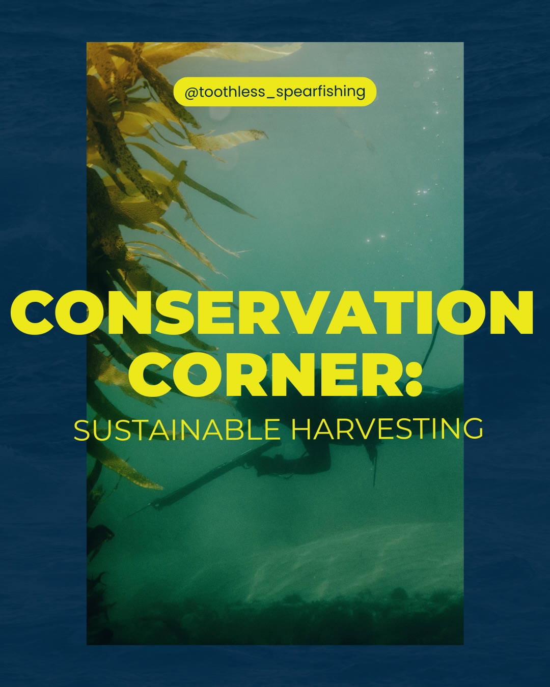 Introducing Conservation Corner 🌎💚 A space dedicated to protecting what we love.
As spearfishers, we have a responsibility to the ocean and the earth to harvest responsibly, respect habitats, and leave every dive better than we found it.
#oceanconservation #scubadiving #spearfishing #spearolife #protectourplanet
