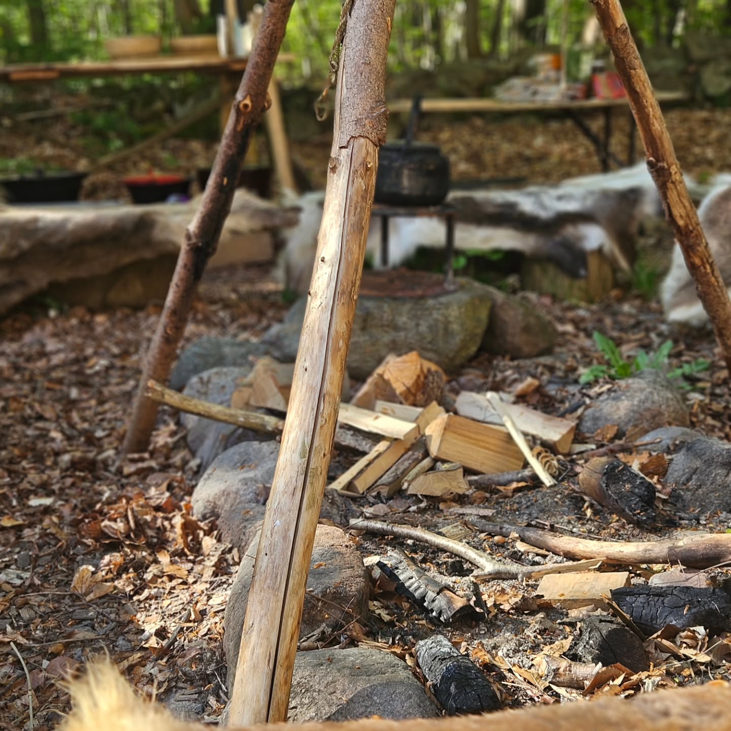 A full house (forest) at the Bushcraft Danmark school today. Sunny weather, good people and lots of fun☀️
#Bushcraft #polterabend #goodtimes #companyevent #keepitsimple