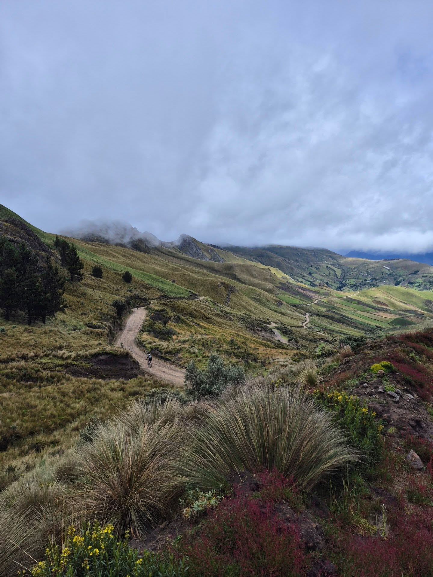 Gravel Fest es una carrera que está fuera de lo convencional, es la carrera anti sistema en el ciclismo ecuatoriano, es la carrera que te invita a explorar los caminos menos transitados, es una visita al Ecuador profundo.
Compartimos unas fotos de lo que fue el Reconocimiento de la Primera Etapa. Ojo 👁 que todavía no es la ruta definitiva, tendremos unos pequeños cambios.
Invitamos a los amantes de la aventura en bicicleta a unirse a esta expedición de 3 días por las montañas de la Provincia de Cotopaxi.
📸 cortesía @stabbed_several_times @adrian_barrera_ec @luisfelipeborja