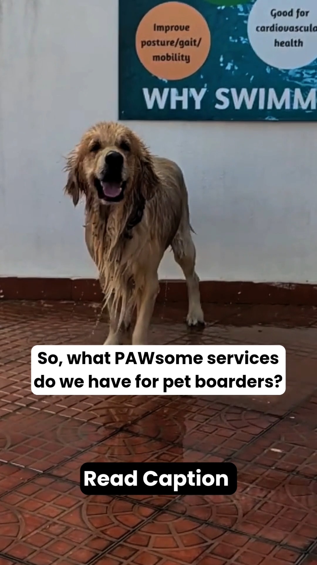 Boarding isn’t just “a place to stay”. It’s everything your pet experiences while you’re away.
So what actually makes a boarding stay PAWsome (and safe)? Here’s what your pet should be getting 👇
🏡 Climate-controlled, hygienic stays
Clean, well-ventilated, temperature-managed spaces because comfort = less stress
👀 24/7 trained supervision
Not just check-ins, continuous monitoring of behaviour, appetite, hydration, and health
🍽️ Personalised feeding routines
Your pet’s own food, portion control, medication schedules : no guesswork
🏃 Structured play & exercise
Supervised, breed-appropriate activity. Not overcrowded or forced play
🧠 Enrichment & mental stimulation
Games, interaction, and engagement to prevent boredom and anxiety
🩺 Veterinary-backed care
Access to medical support if needed from minor issues to emergencies
🧼 Hygiene & grooming support
Clean coats, paw care, and basic grooming to keep pets comfortable
🐾 Socialisation (only if suitable)
Carefully matched interactions because not every pet wants group play
🌿 Routine-driven days
Balanced schedule of activity, rest, feeding, and monitoring
💡 Reality check:
A good boarding space doesn’t just “house” your pet : it understands, monitors, and adapts to them.
Because when done right, your pet doesn’t just stay…they thrive. 💛
📌 Save this before your next booking
📤 Share this with a pet parent who’s choosing boarding for the first time
📞 Call 76196 34627 to book your pet’s stay at Cessna Pet Retreat
#cessnalifelineveterinaryhospital #cessnalifeline #20yearsofcessnalifeline #cessnapetretreat #petboardingindia #petcareindia #dogboarding #catboarding #petwellness #responsiblepetparent #dogsofindia