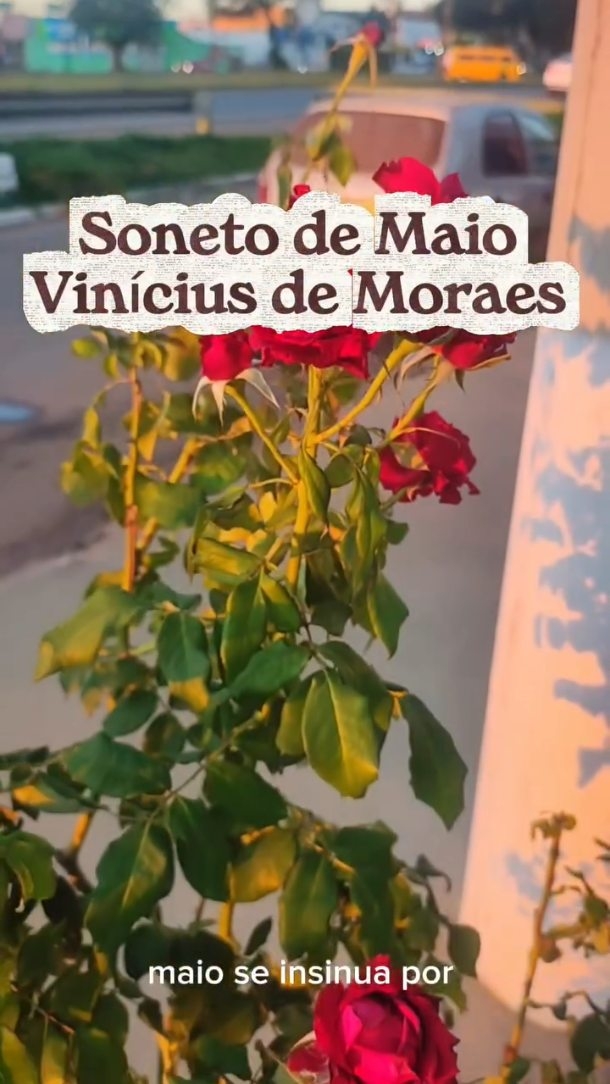 Em maio, quando o tempo floresce em versos…
“É maio. E o vento traz perfumes novos…”
Inspirados na sensibilidade de Vinícius, celebramos a beleza que também habita os encontros, a arte e os palcos que contam histórias.
O Teatro Marie Padille é elegância e sofisticação em espaço, é cenário de emoções vivas.
Um auditório acolhedor para até 120 pessoas, onde cada detalhe aproxima o público da cena.
Um camarote exclusivo, com menu degustação, para experiências que vão além do olhar.
Uma arena Goya imponente, pronta para receber até 600 pessoas em grandes eventos.
E tudo isso com os melhores equipamentos de som e iluminação, porque a arte merece excelência.
Maio nos convida ao novo…
E talvez o seu próximo evento mereça nascer aqui.
Venha viver, sentir e realizar no Teatro Marie Padille.
(62) 99401-4250
www.teatromariepadille.com.br