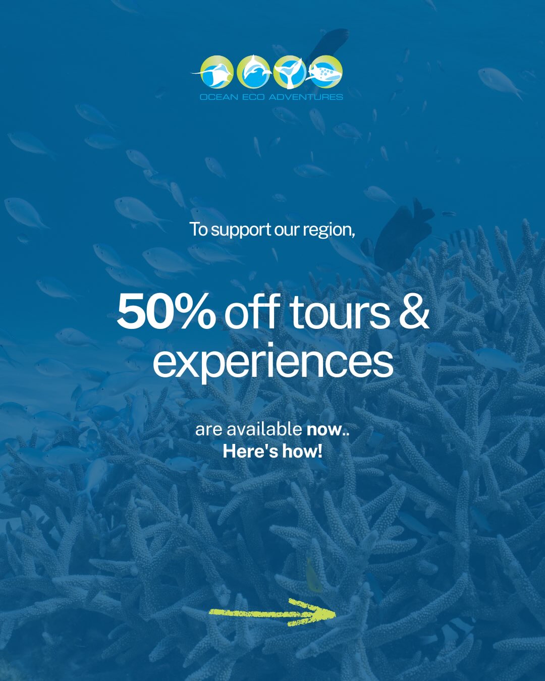 We’re excited to be part of Tourism WA’s 50% Off Tours & Experiences program. 🩵🪸
A chance to experience the reef, the wildlife, and those moments out on the water for half the price!
⚠️ All vouchers and bookings managed through the WA or Ningaloo Visitors Centre, not available directly though Ocean Eco Adventures
🗓 Bookings: 5 May 2026 – 30 June 2026
(Or until vouchers are exhausted)
🌊 Travel: valid through to 30 November 2026
If it’s been on your list… this might be the nudge you needed.
@tourismcouncilwa @visitningaloo @westernaustraliavc