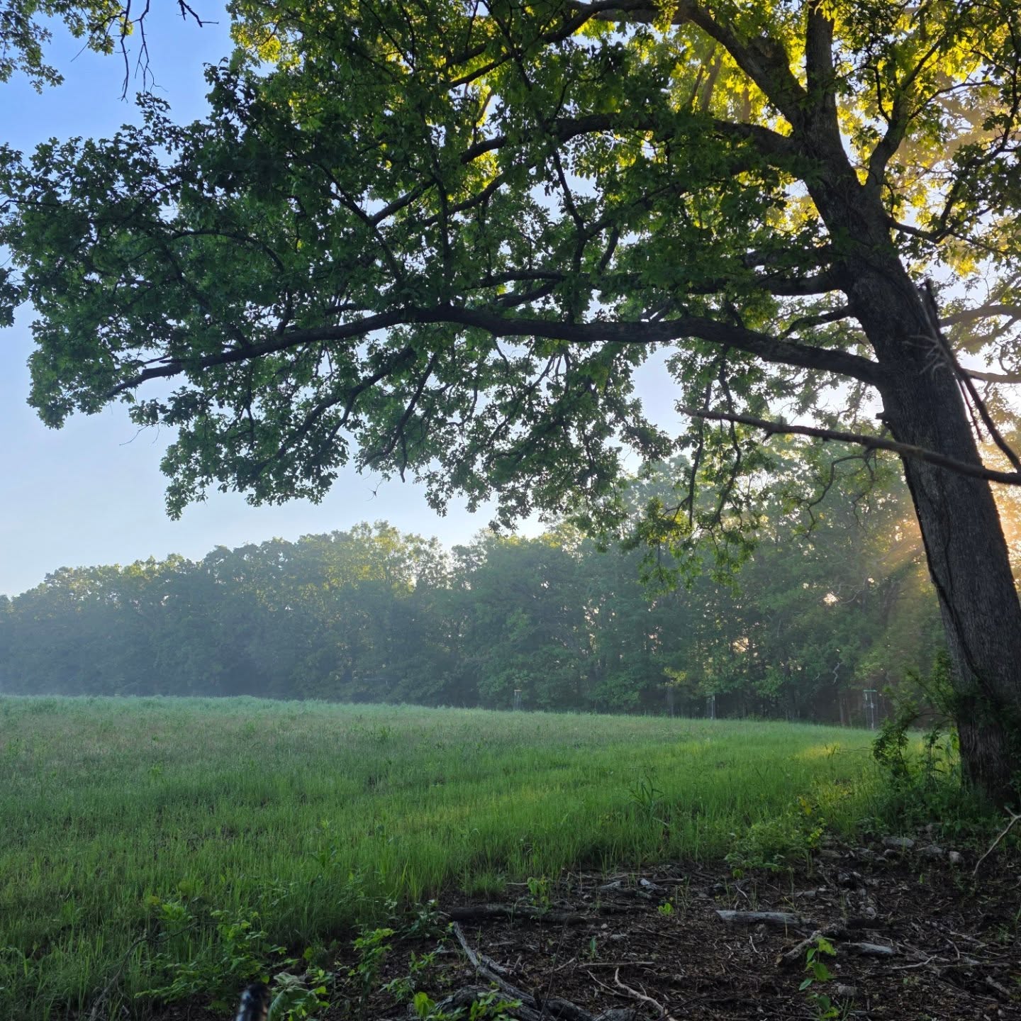 Was a beautiful morning!