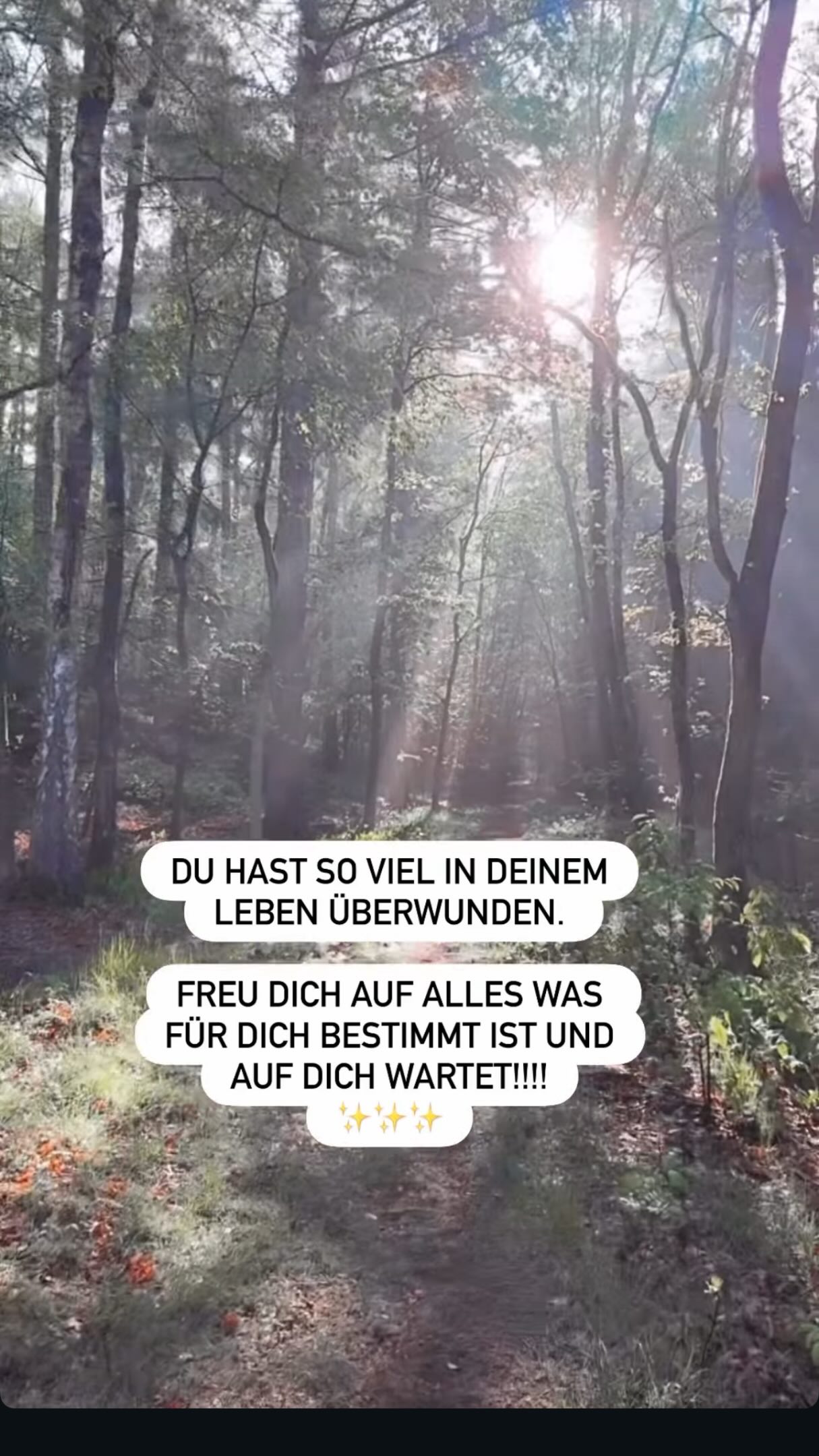 Ich bin grade im Wald und denke an dich. An alle, die grade mittendrin stecken in herausfordernden Situationen, die Veränderung mit sich bringt.
Ich schick dir gute Energie und milde sonne aus dem Wald. ☀️
Weil ich glaube, wir sind grade alle in so einem großen Veränderungsprozess. Jede auf ihre Weise. Und manchmal fühlt sich das einsam an.
Du bist nicht allein damit.
Ich bin überzeugt, dass wir für mehr Leichtigkeit gedacht sind. Dass da wunderschöne Dinge auf uns warten.
Und dass wir uns diesen Möglichkeitsraum selbst öffnen dürfen – Schritt für Schritt.
Das Schwerste hast du wahrscheinlich schon hinter dir. Auch wenn es sich grade nicht so anfühlt. 💫
Wenn du grade an so einem Punkt stehst und spürst, dass da mehr für dich gedacht ist – mehr Leichtigkeit, mehr Du, mehr von dem, was sich endlich richtig anfühlt – dann hab ich was für dich.
Meinen Berufungs-Guide. Ein kleiner Wegweiser für genau diese Phase.
Kommentier GUIDE und ich schick ihn dir.
Sonnige Grüße aus der wundervollen Natur.
💫
Deine Lotta
#neustart #soulbusiness #berufung #businessmentor