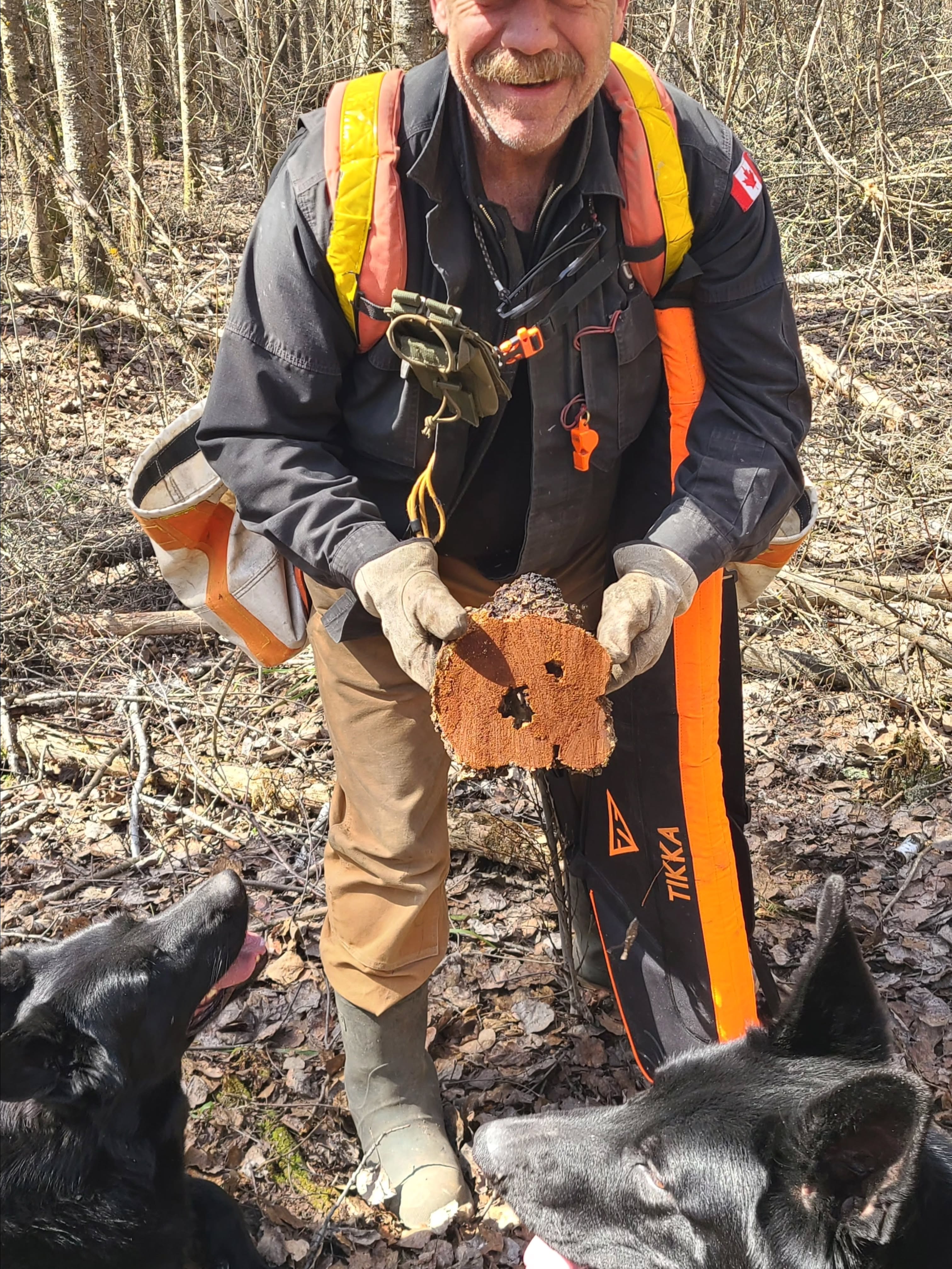Spring Chaga hunting!
#chaga #foraging #doglover #outdooreducation #springvibes