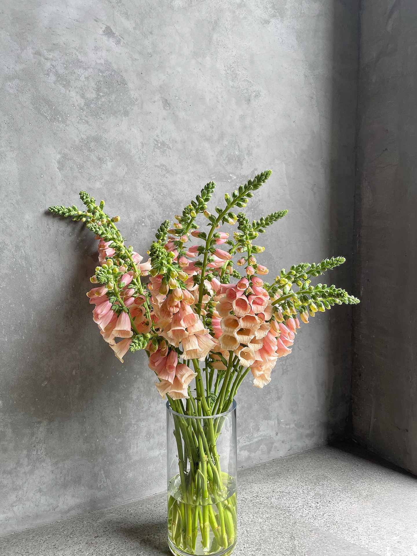 Foxglove, processed and ready to be used in an arrangement.
Unpacking, counting, cutting, stripping the stems, checking for damage, conditioning them in fresh water — this is some of the work that happens before anything gets arranged. This week we’re doing a lot of it. Mother’s Day is Sunday and we want every stem arriving at your door to be at its very best.