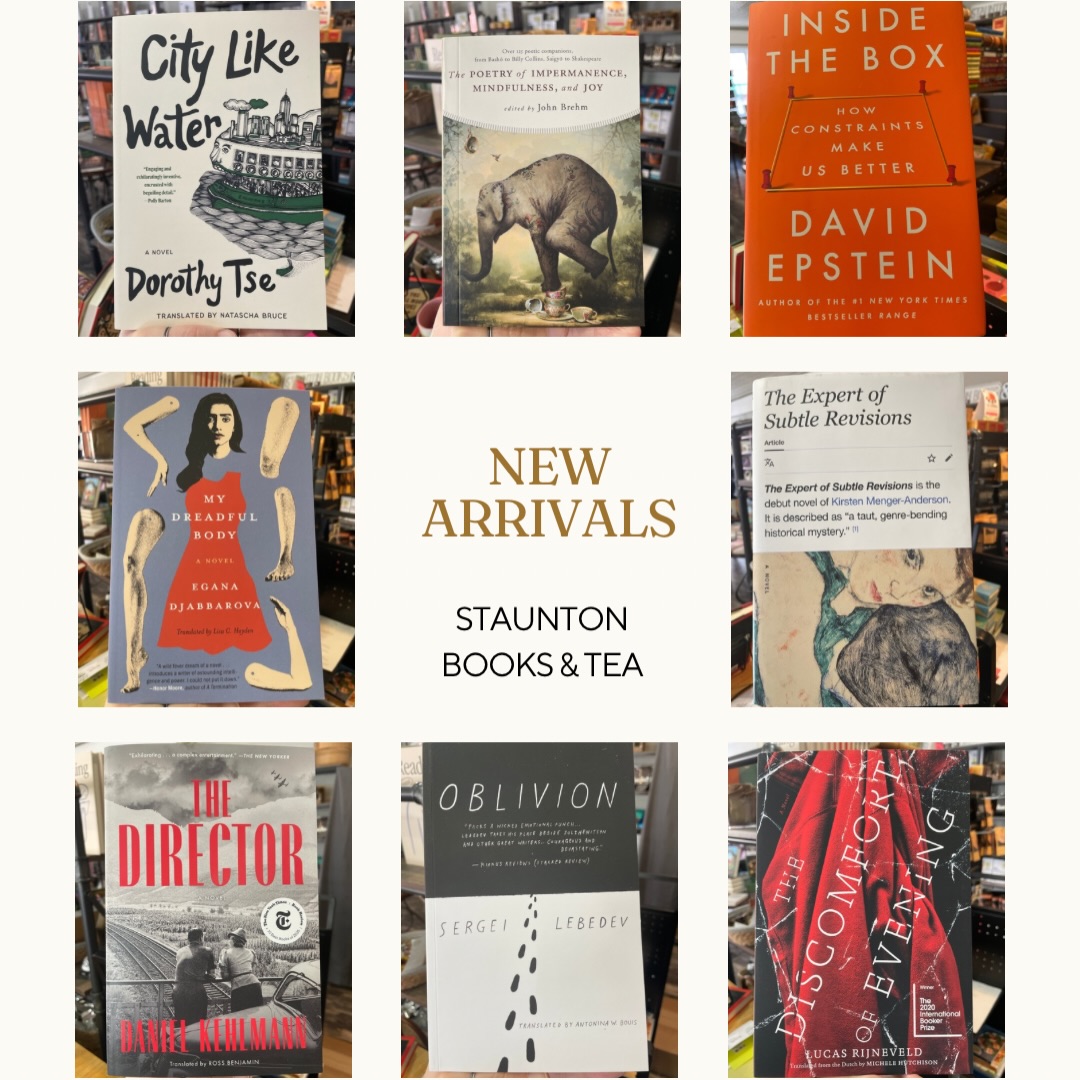 New books are arriving constantly — here are a few recent additions. #stauntonva #downtownstaunton #stauntonvirginia #visitstaunton #stauntondowntown