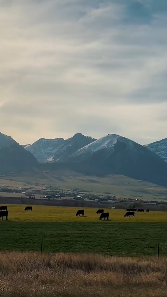 From @lonecactusproperties Calves are here, the grass is turning green, and spring is slowly waking everything up 🌿🐄
Finding peace in the quiet beauty that surrounds us this time of year… even when it comes with a little (very needed) Montana snow ❄️🤍
#LoneCactusProperties #SpringInMontana #RanchLife #ParadiseValley #MontanaLiving