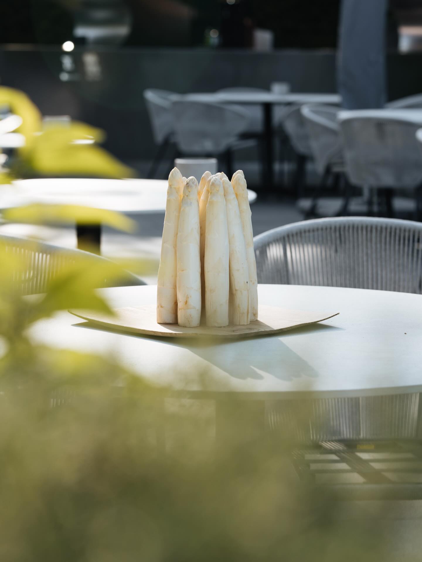 White Belgian Asparagus 🤍
At Boury Academy, it’s never just technique, it’s respect for the product, perfect timing, and absolute purity.