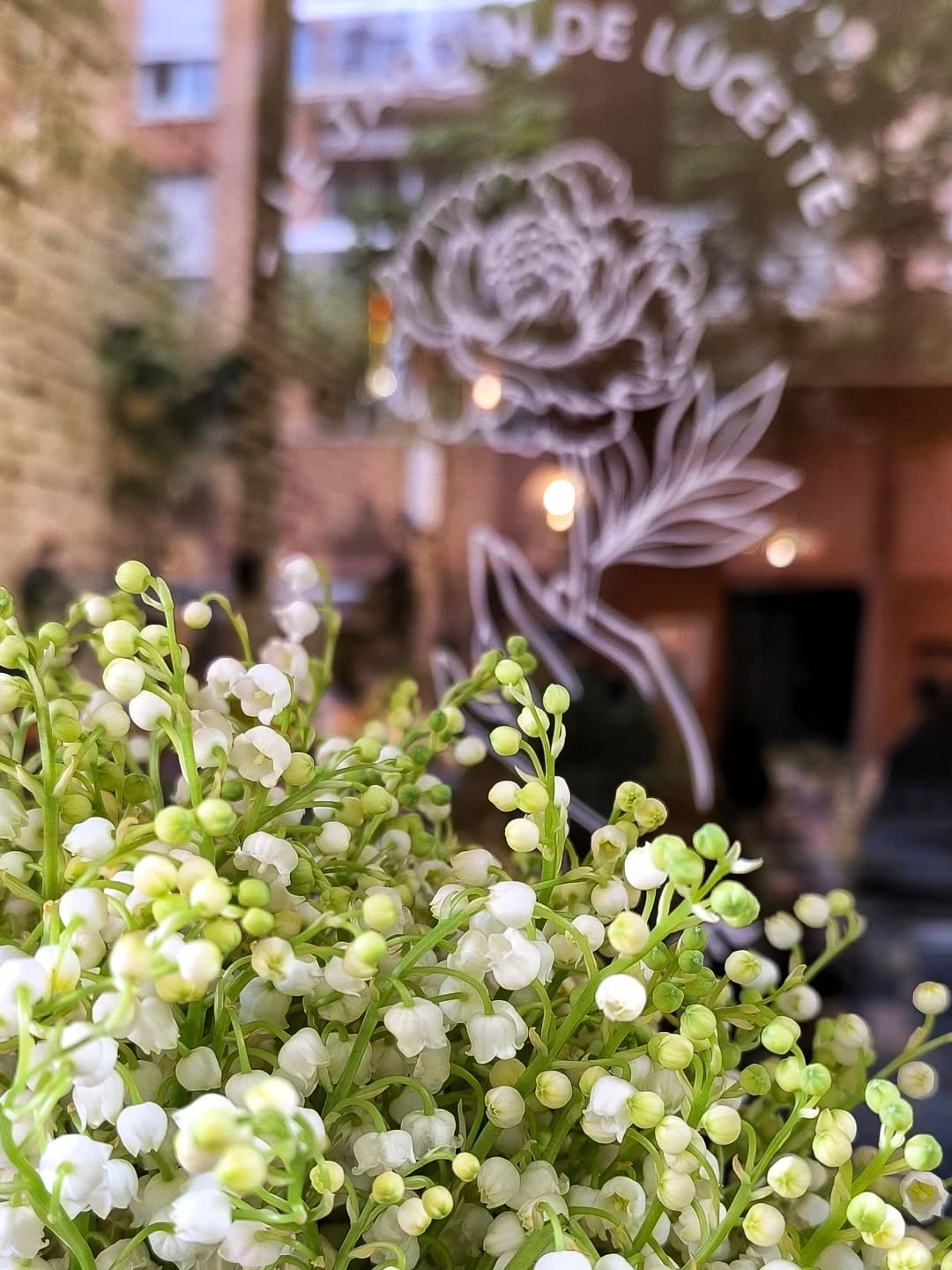 Le muguet est arrivé !!
1er Mai, ouverture du Jardin de Lucette (8h-13h), sans salariés.
Traditionnellement, nous offrons le muguet à ses proches, comme « Porte-Bonheur ».
En tant que commerce de proximité, artisan fleuriste, nous perpétuons cette tradition, jour également très important pour toute la filière horticole.
Cependant, nous n’oublions pas que ce jour, est la fête du 1er mai, celle de la défense des droits des travailleuses et travailleurs, et donc celui du (non) travail.
Vous êtes nombreux à nous demander si cette année nous serions ouvert ?
Et bien, oui, comme chaque année, sans salariés, de 8h à 13h, pour celles et ceux, qui aiment offrir les brins de muguet avec les croissants au petit déjeuner, au retour du marché, et également celles et ceux, qui l’offrent au retour des manifestations, nombreuses et importantes ce jour là.
Un grand merci à celles et ceux qui achètent leurs brins de muguet, chez leur artisan fleuriste de proximité, ou auprès d’un syndicat ou une association caritative, sur la manifestation, et non pas auprès de marchands ambulants (à moins que cela soit leur propre production, unique possibilité de vente ce jour là).
Bon 1er mai, à toutes et à tous !
》Le Jardin de Lucette, 34 rue de la Concorde, 31000 Toulouse, du mardi au dimanche.