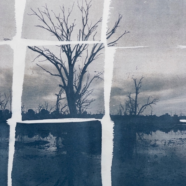 After the Gold Rush: Victorian Landscape is our new show opening this Saturday. #Victoria #landscapephoto